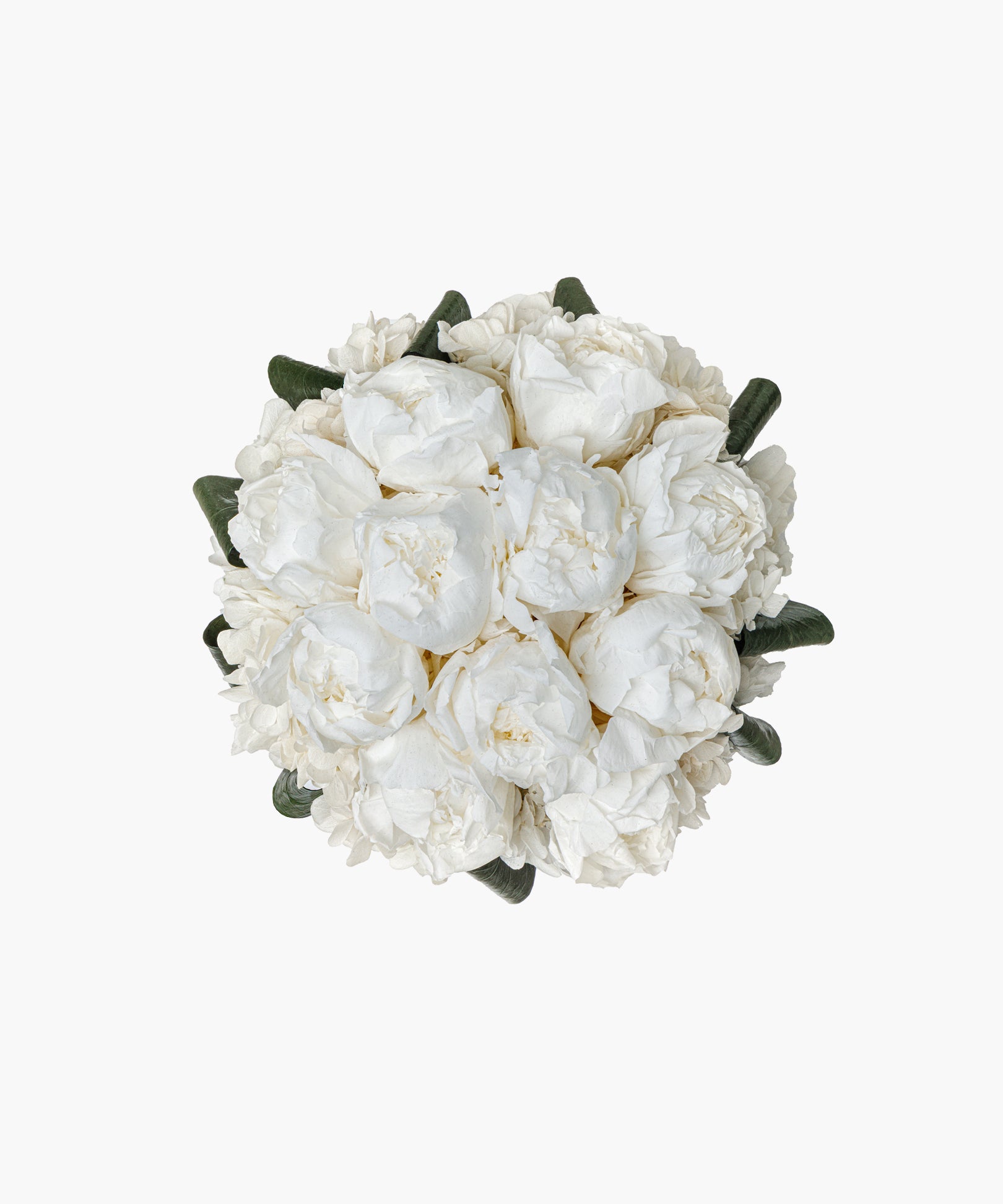 Peony Cube – Pure White（ピオニーキューブ – ピュアホワイト）