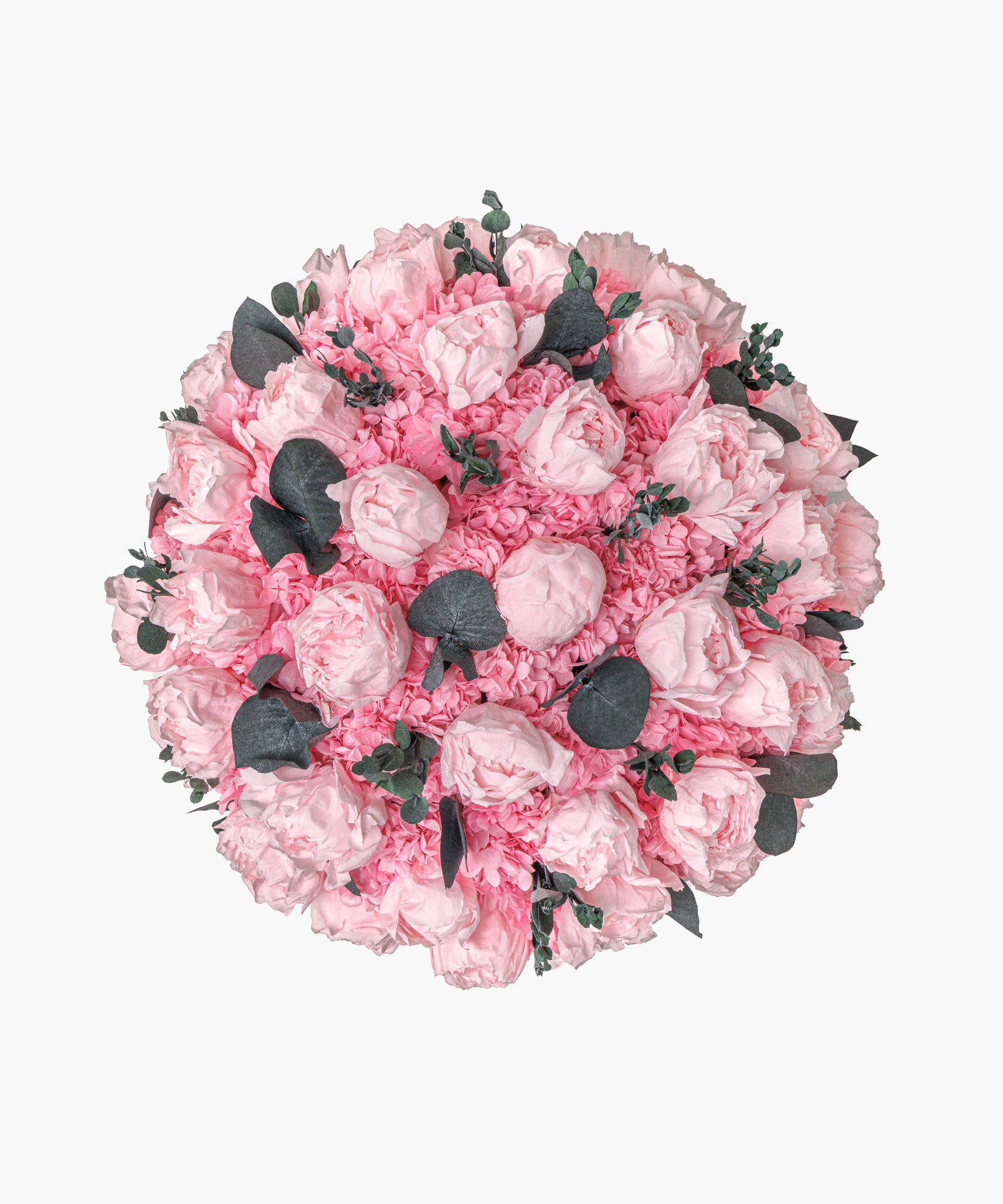 Peony Arrangement – Soft Pink（ピオニー アレンジメント – ソフトピンク）