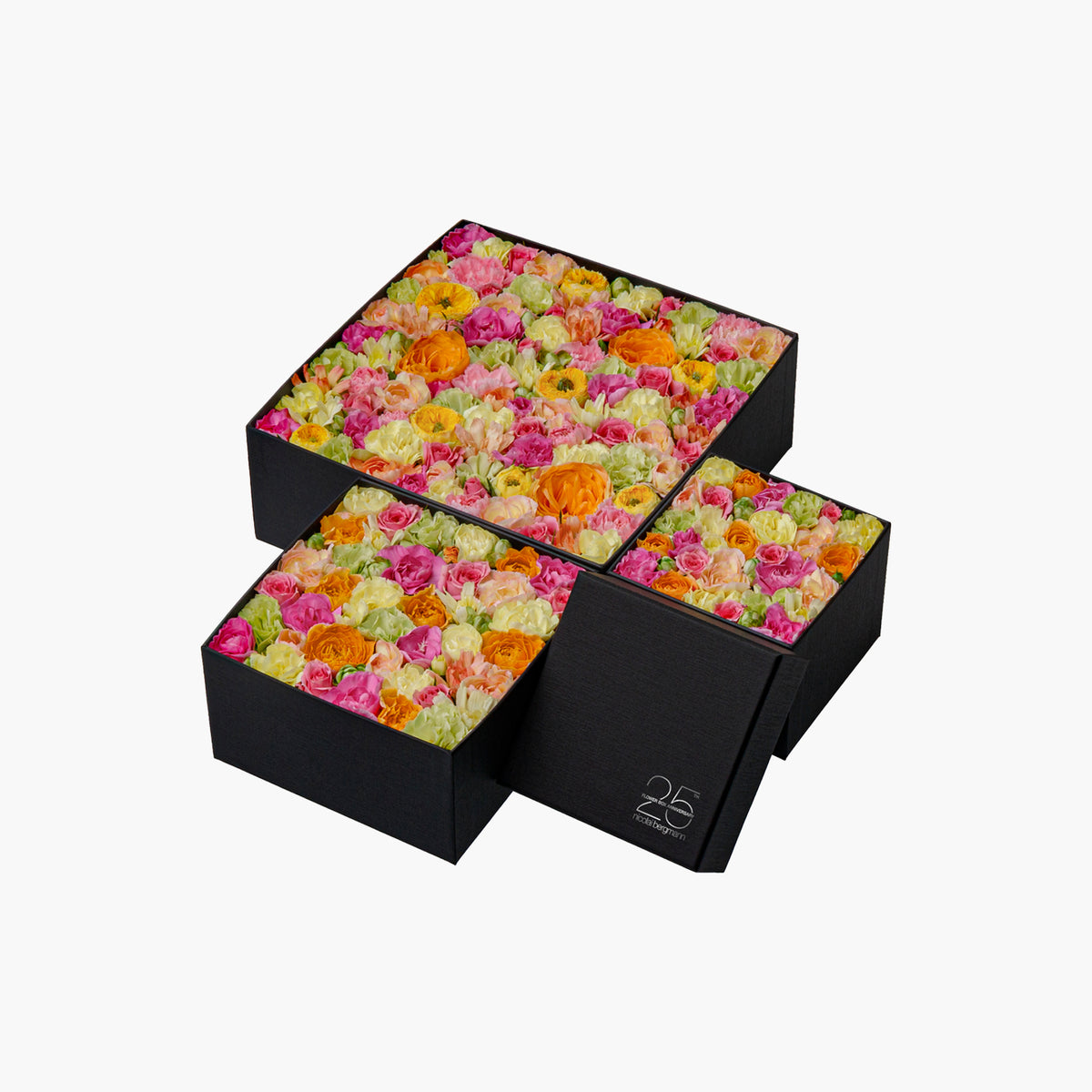 既購入ok.2019ミラノコレクシュン本体 Colorful Journey (カラフル ジャーニー)