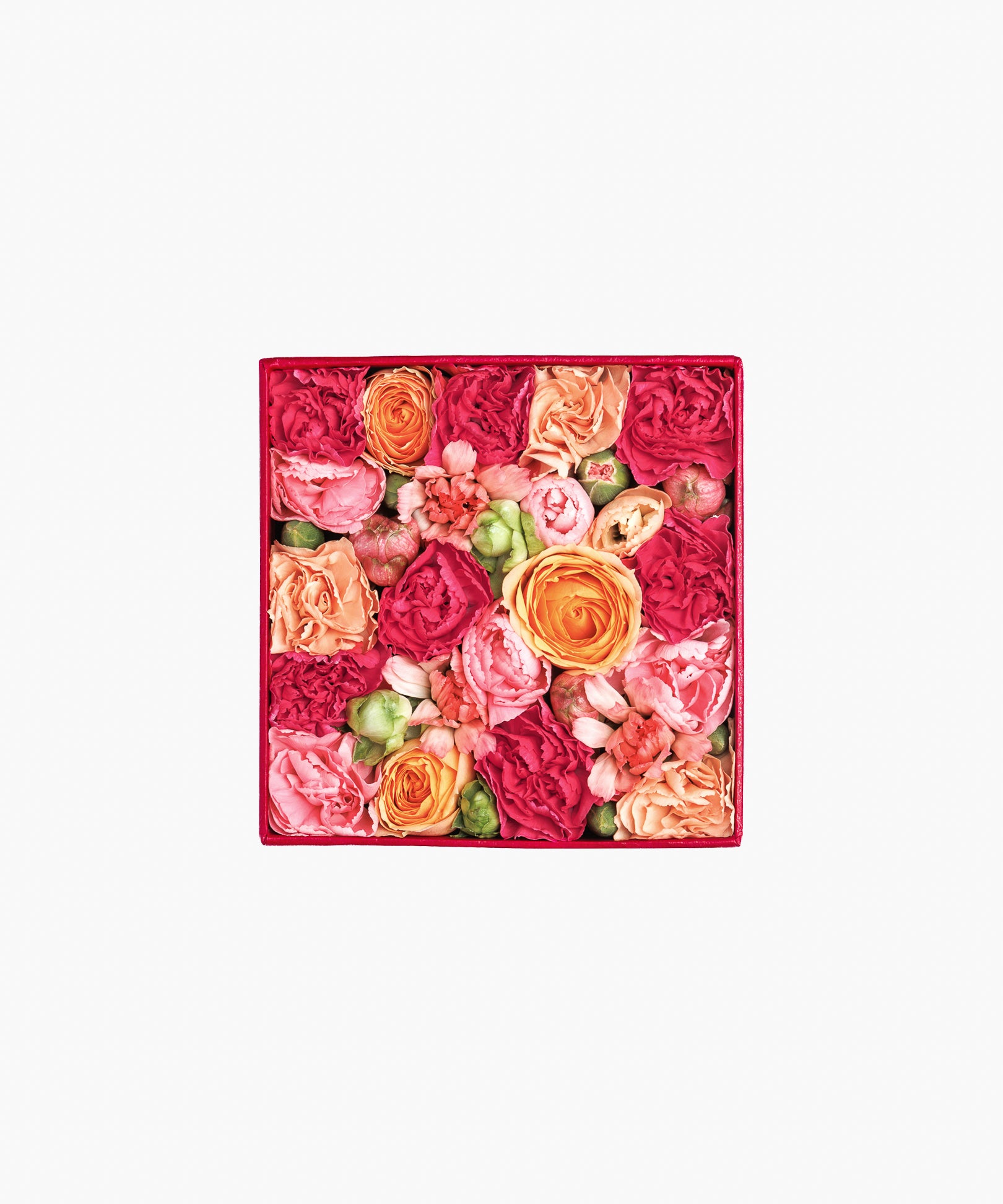 5/6着）Message in a box – Colorful Appreciation（メッセージ イン ア ボックス – カラフル アプリシエーション）