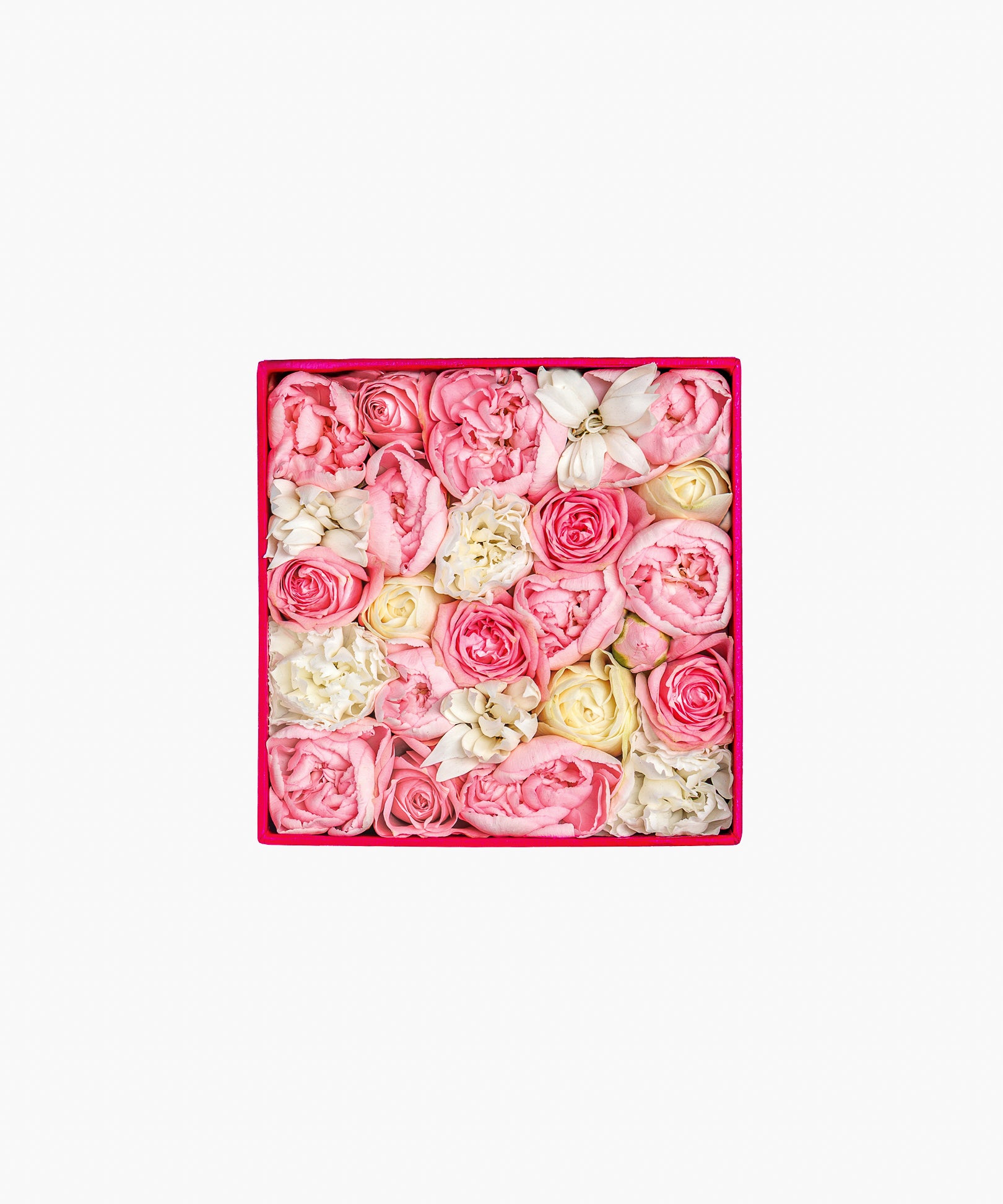 5/6着）Message in a box – Tender Love（メッセージ イン ア ボックス – テンダー ラブ）