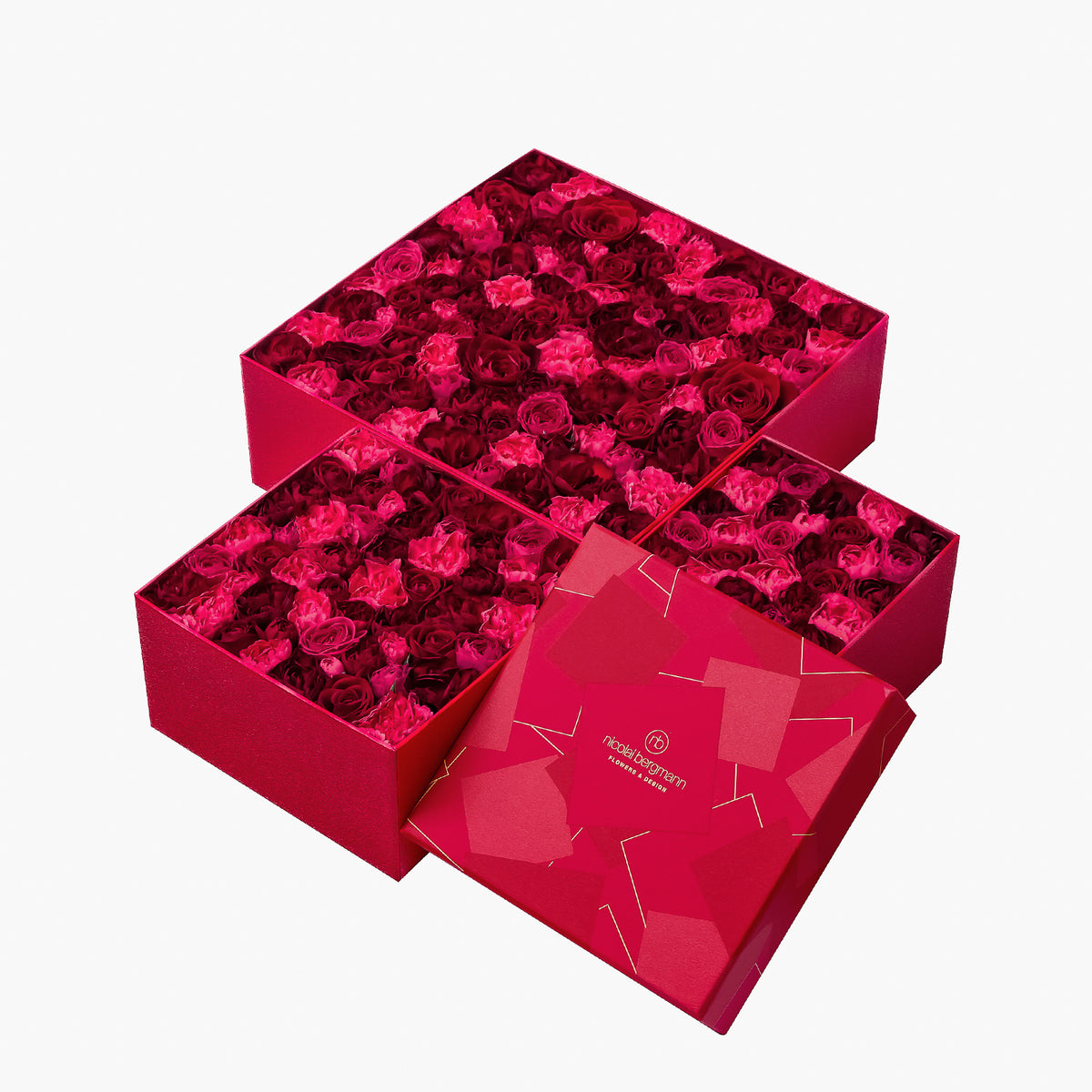5/6着）Message in a box – Deep Gratitude（メッセージ イン ア
