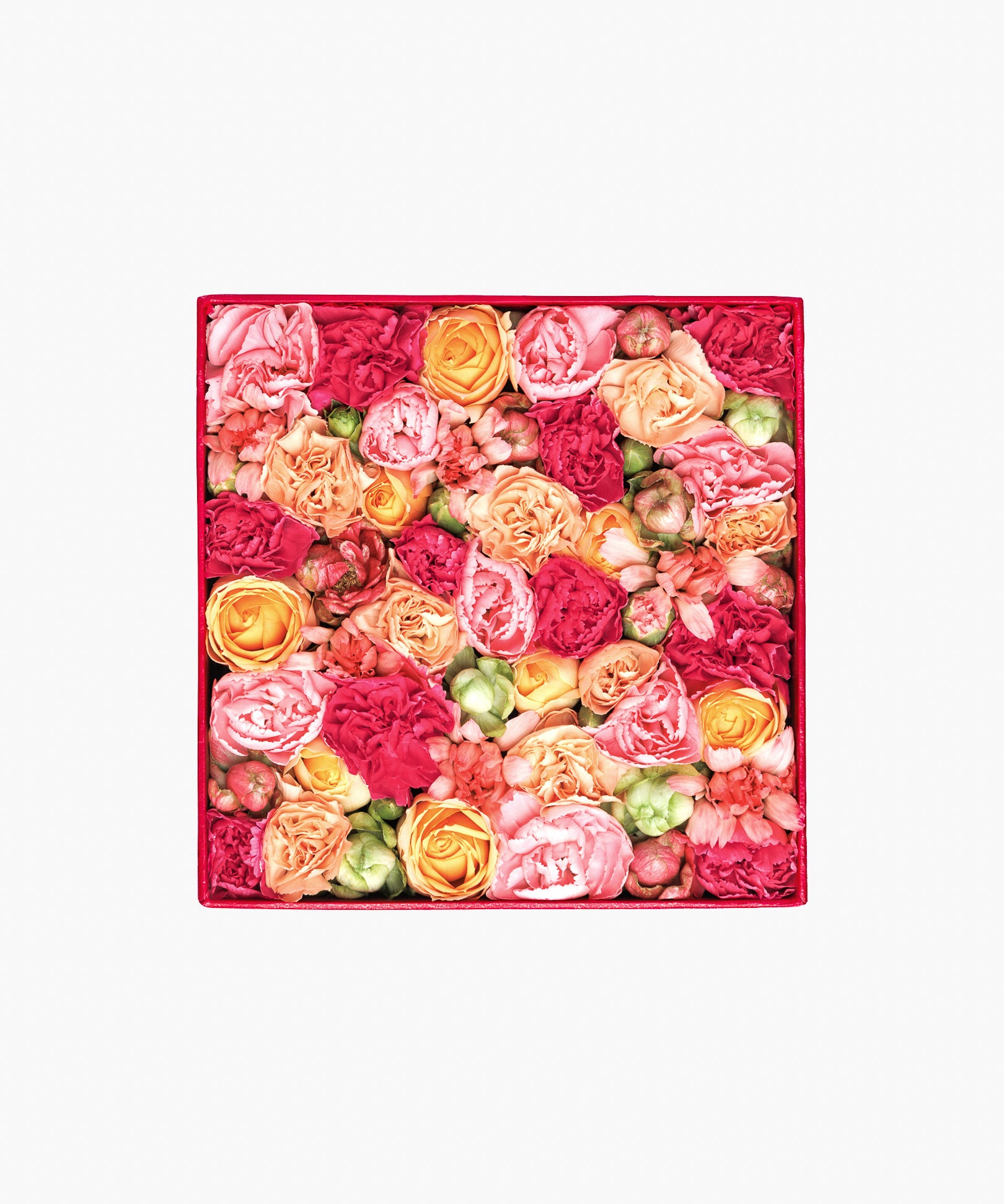 Message in a box – Colorful Appreciation（メッセージ イン ア