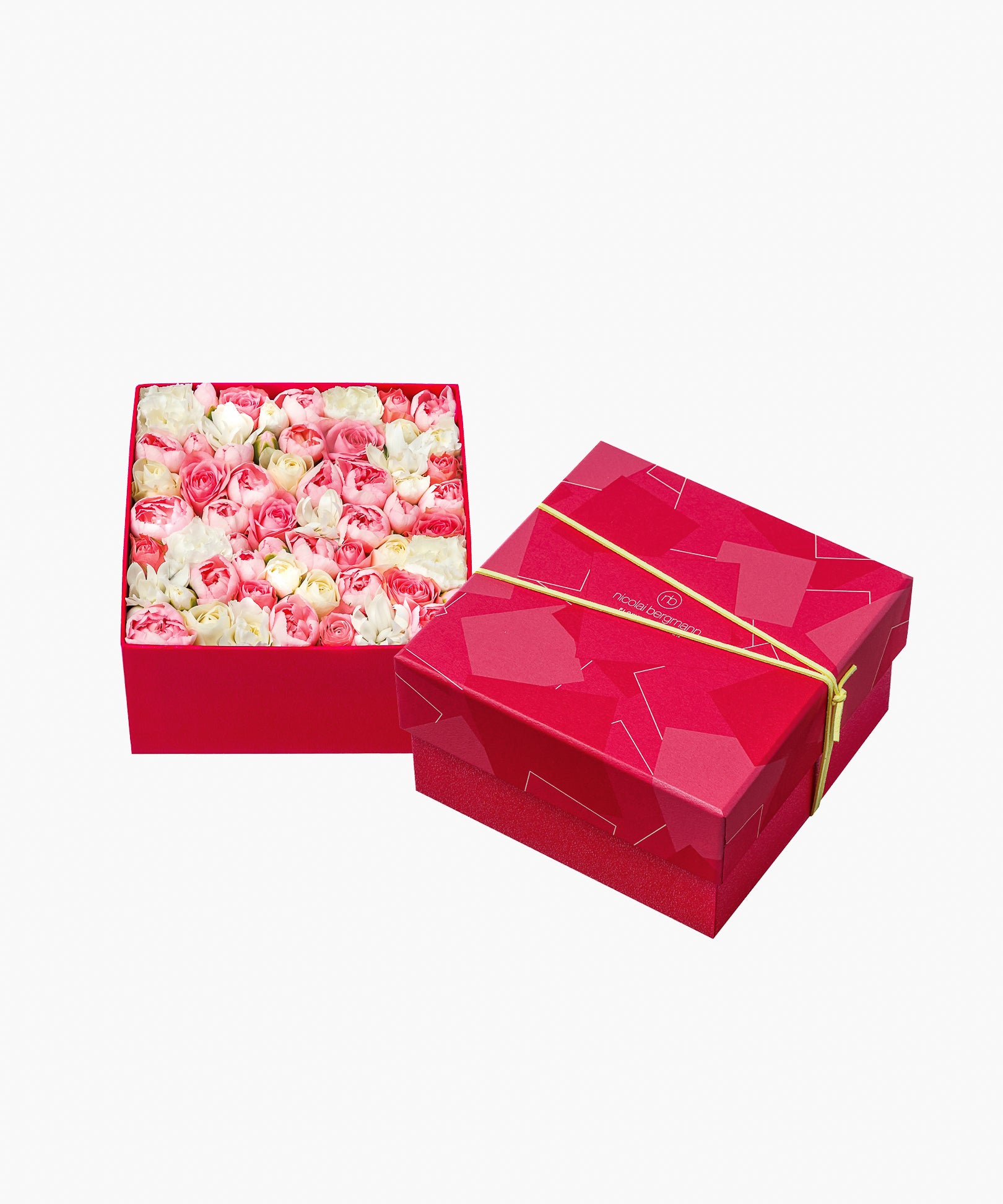 5/6着）Message in a box – Tender Love（メッセージ イン ア ボックス – テンダー ラブ）