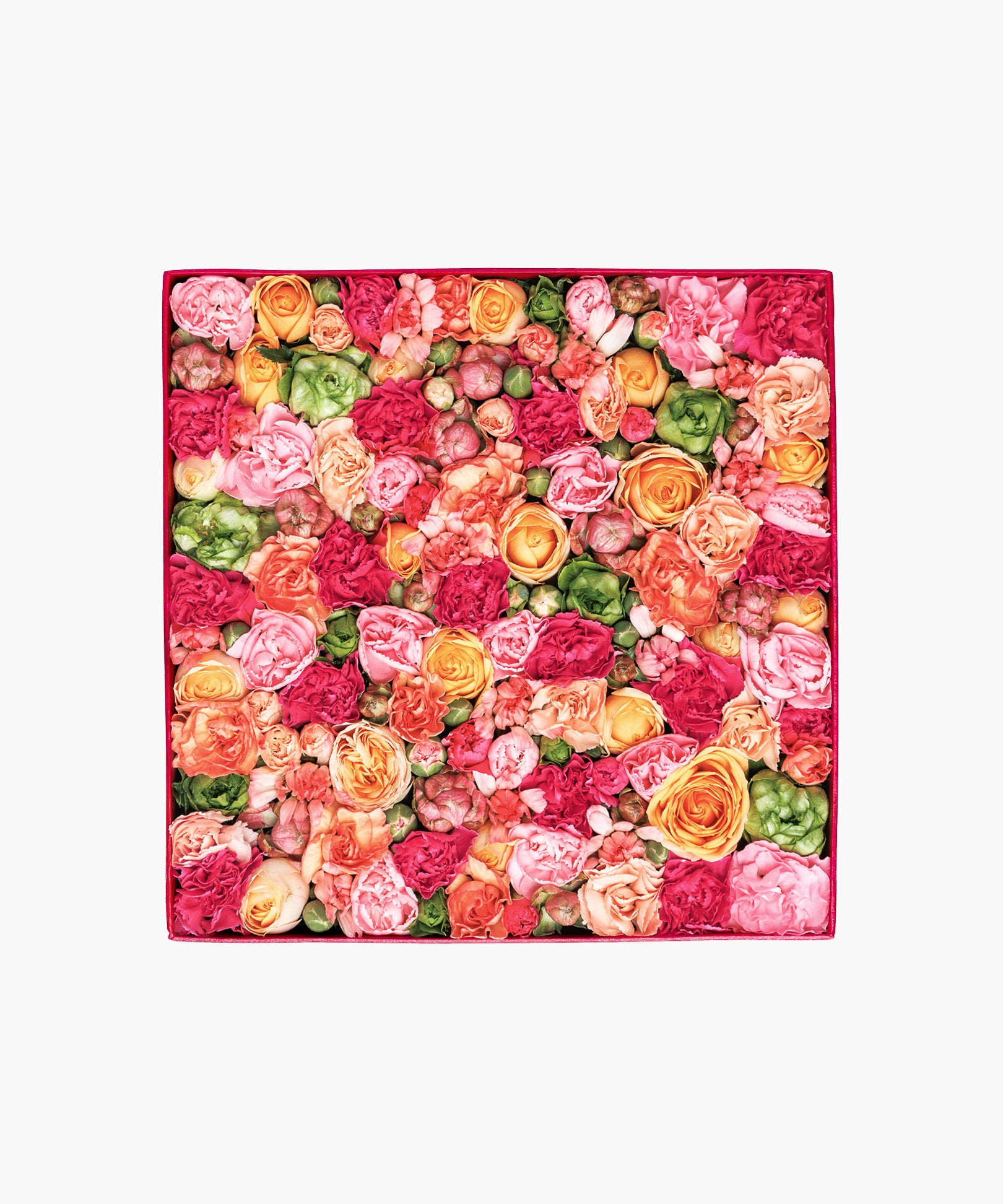 Message in a box – Colorful Appreciation（メッセージ イン ア