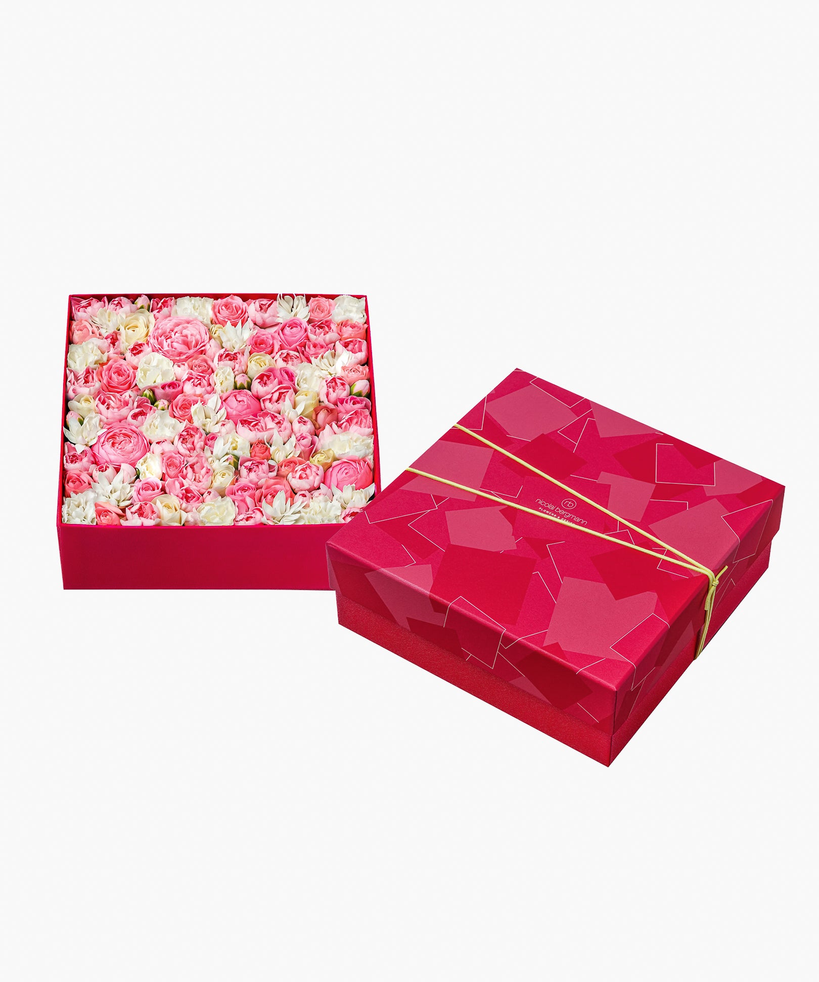 5/6着）Message in a box – Tender Love（メッセージ イン ア ボックス
