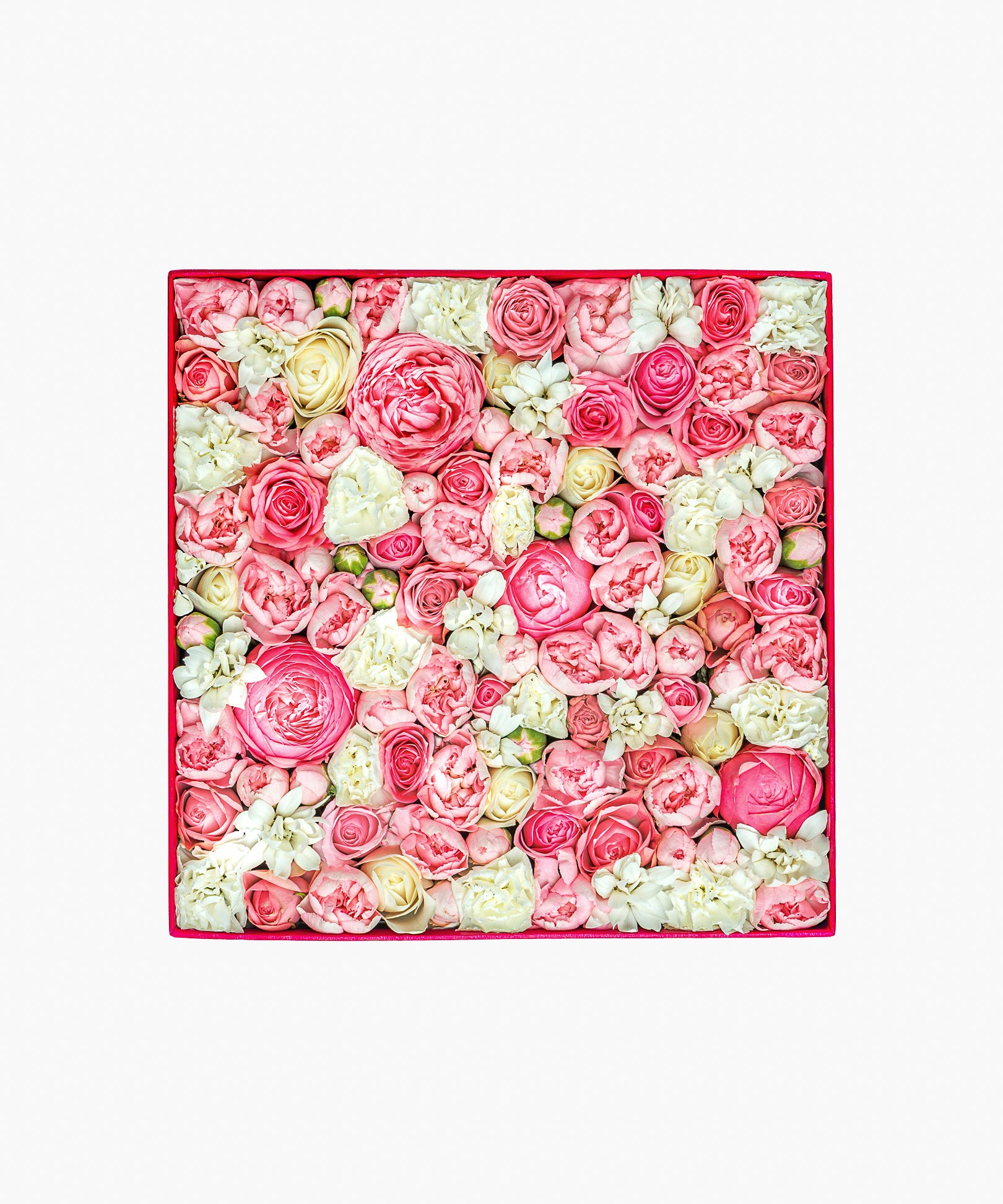 5/6着）Message in a box – Tender Love（メッセージ イン ア ボックス – テンダー ラブ）