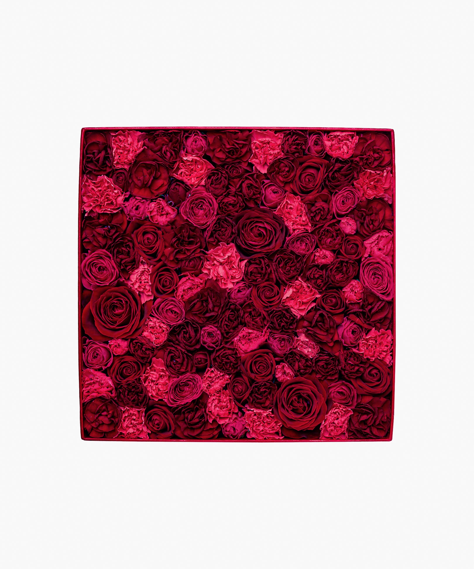 5/6着）Message in a box – Deep Gratitude（メッセージ イン ア ボックス – ディープ グラティテュード）