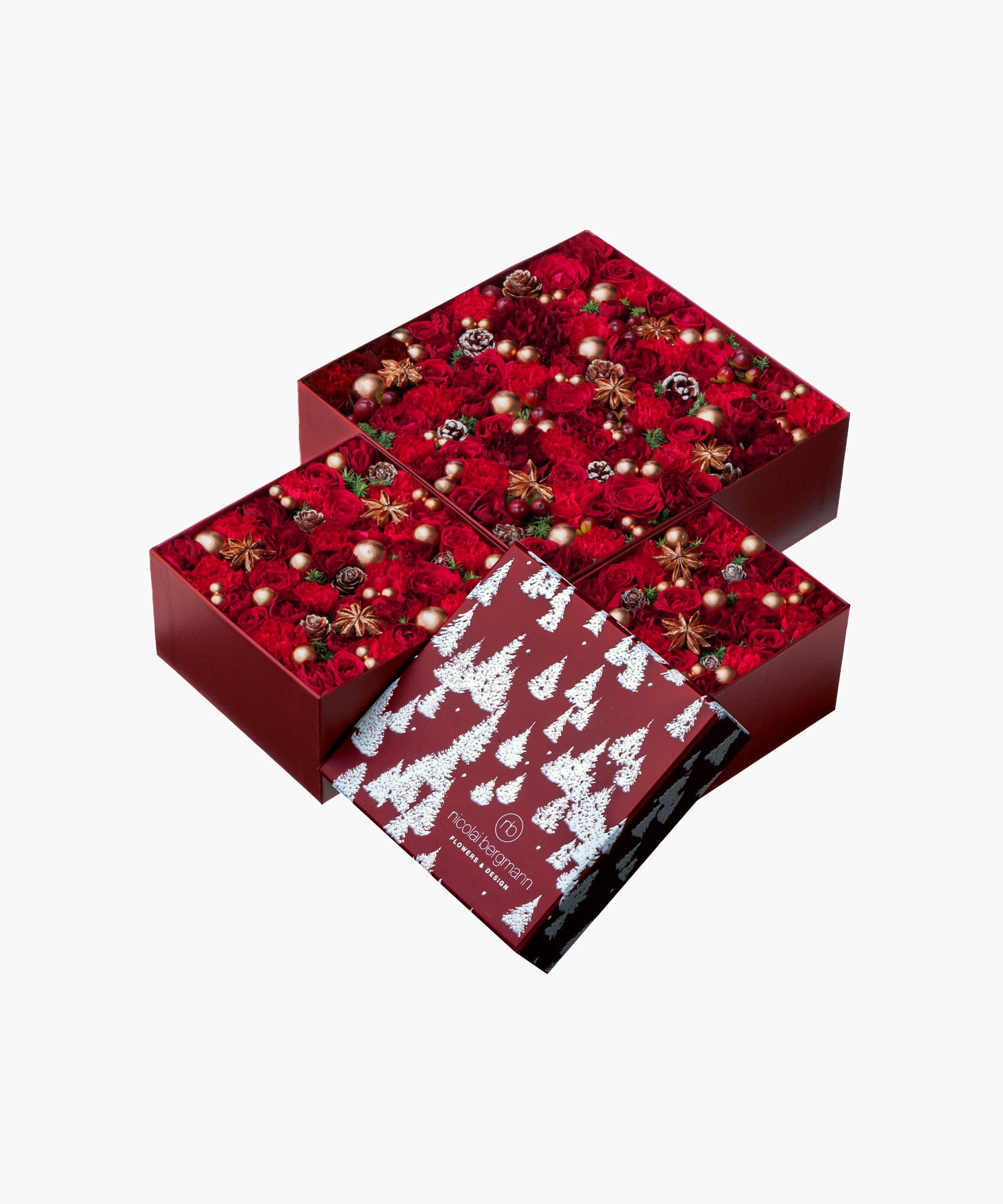 Snowlit Pines - red （スノーリット パインズ - レッド）