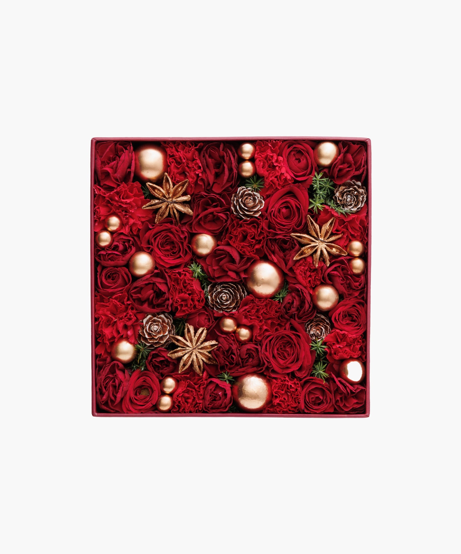 Snowlit Pines - red （スノーリット パインズ - レッド）