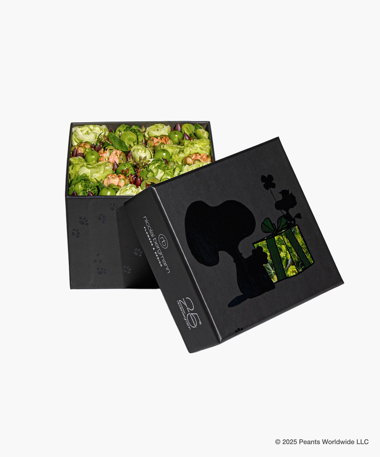 Nicolai Bergmann meets PEANUTS. - Journey Black Fresh Flower