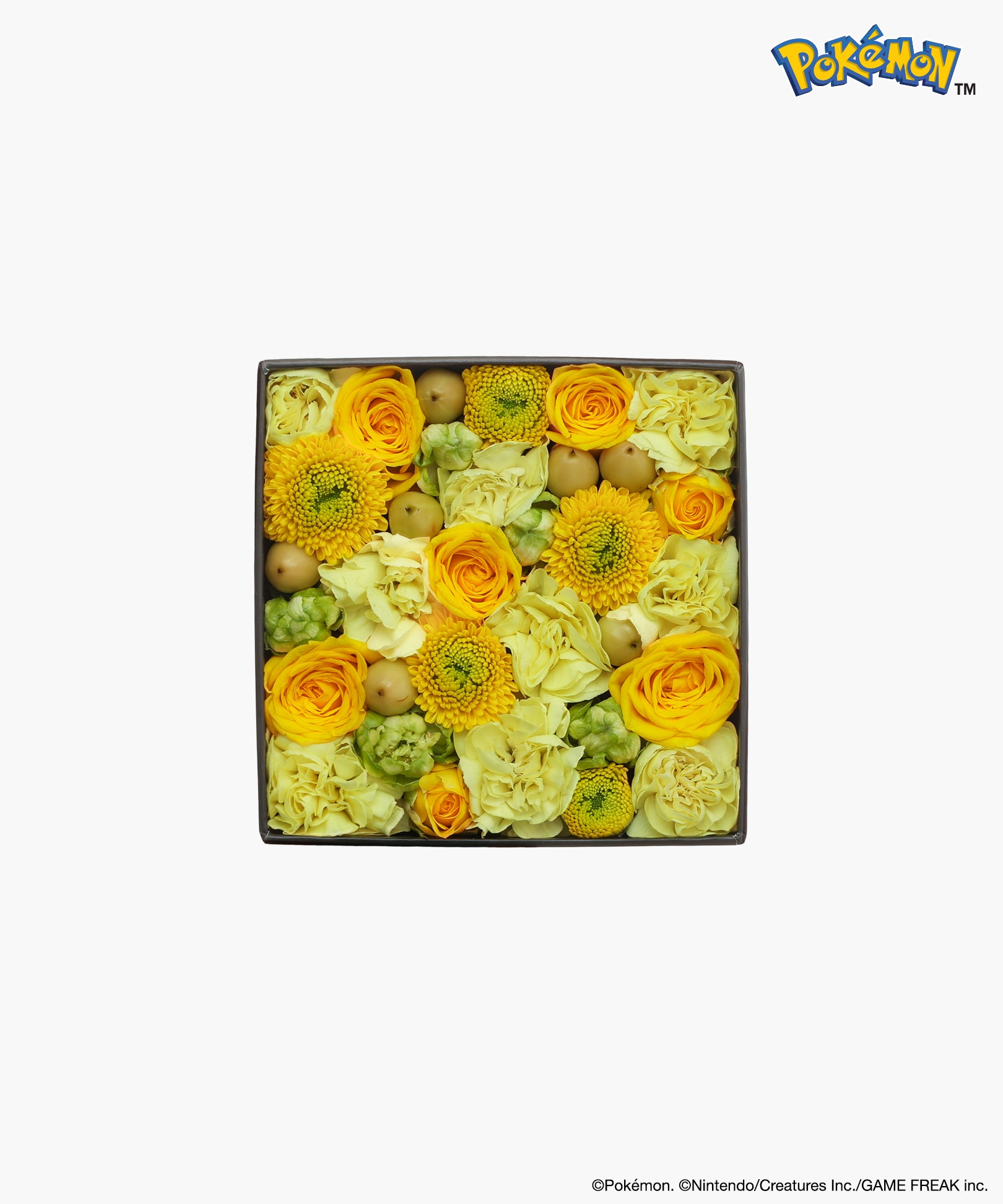 Nicolai Bergmann × Pokémon　ピカチュウ