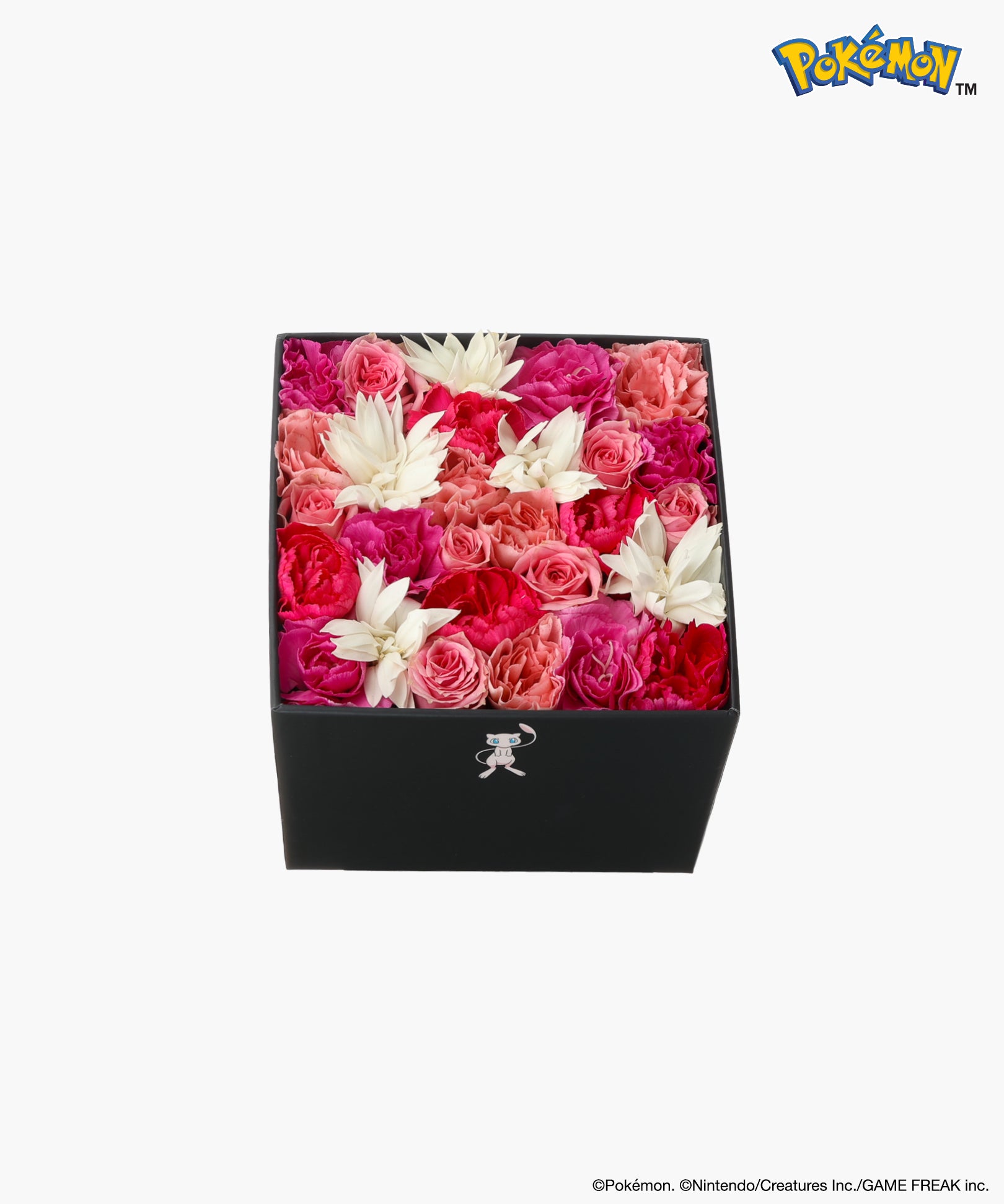 Nicolai Bergmann × Pokémon ミュウ