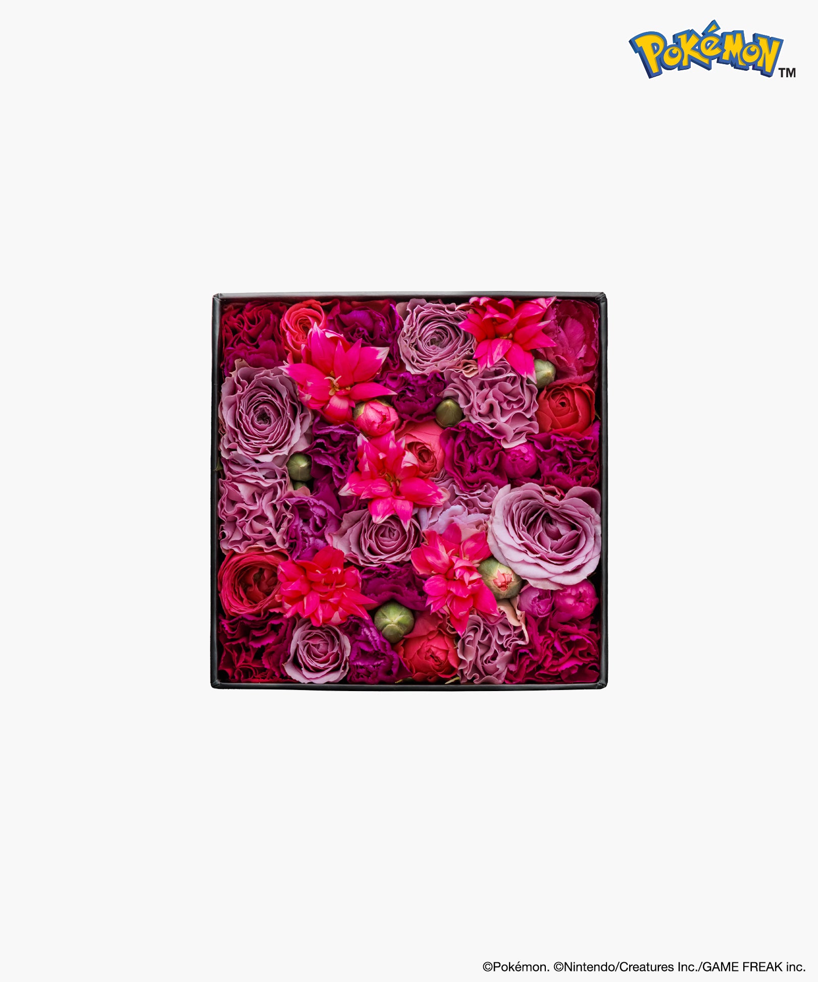 Nicolai Bergmann × Pokémon　ゲンガー