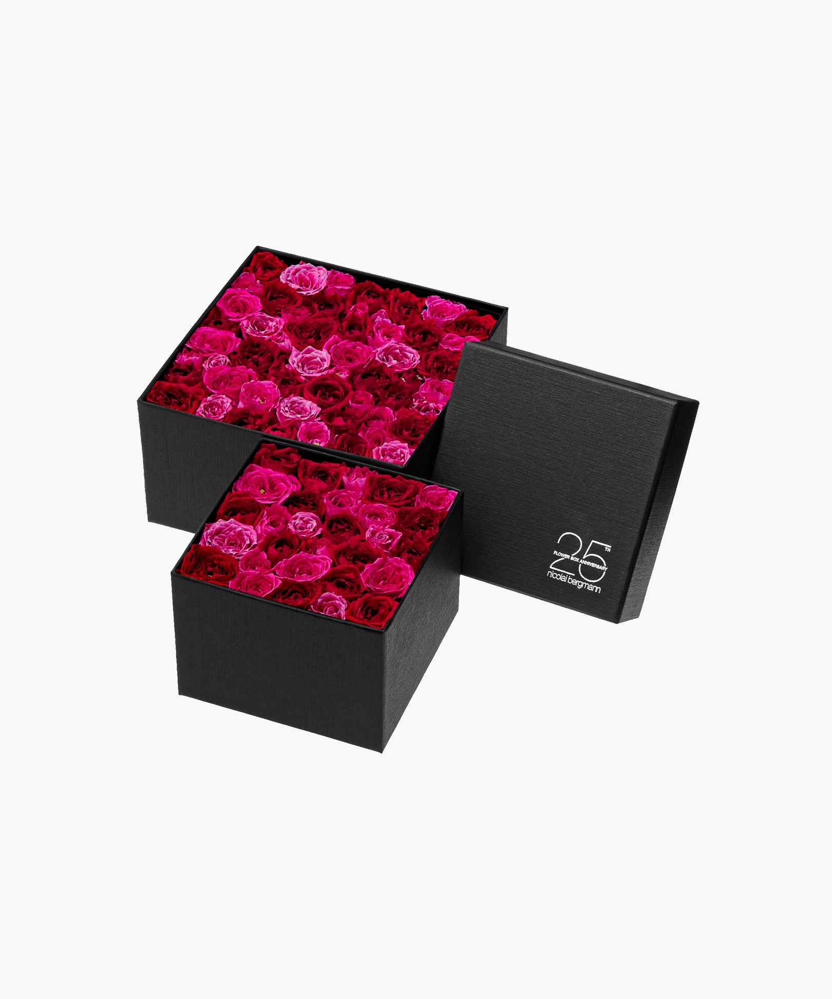 Burgundy Roses (バーガンディ ロージズ)
