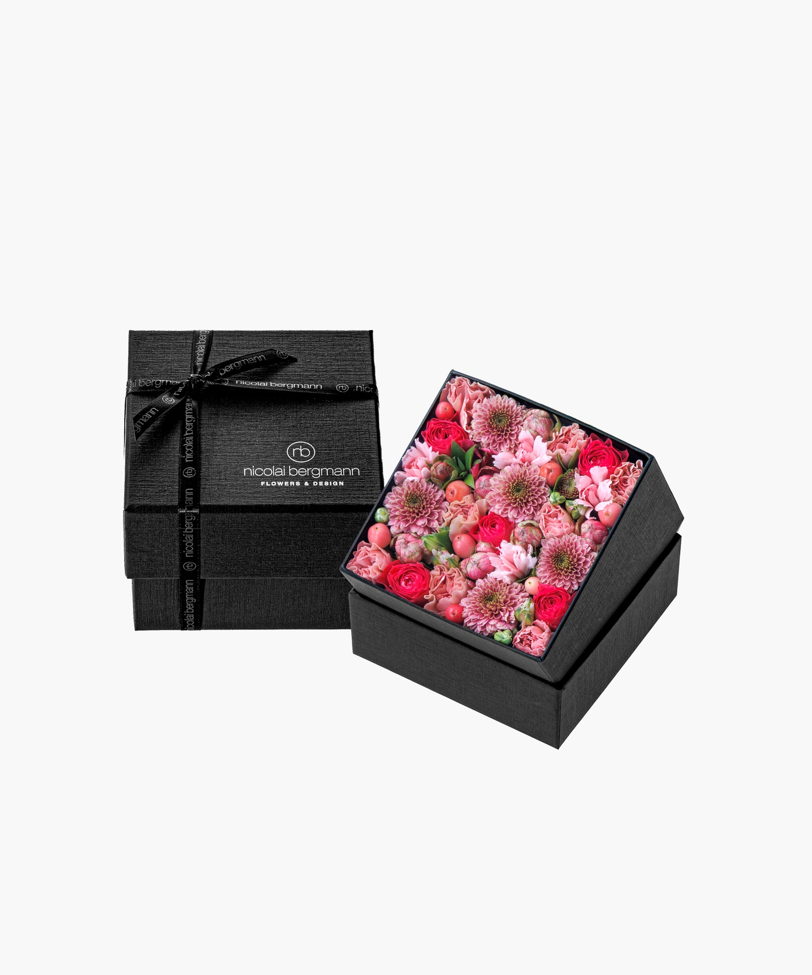 Tender Spring (テンダー スプリング)