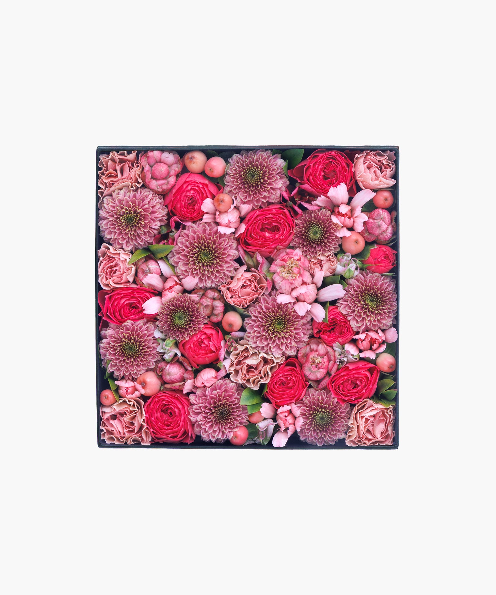 Tender Spring (テンダー スプリング)