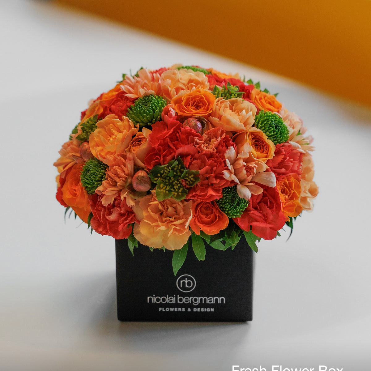 Sun Pop（サン ポップ）