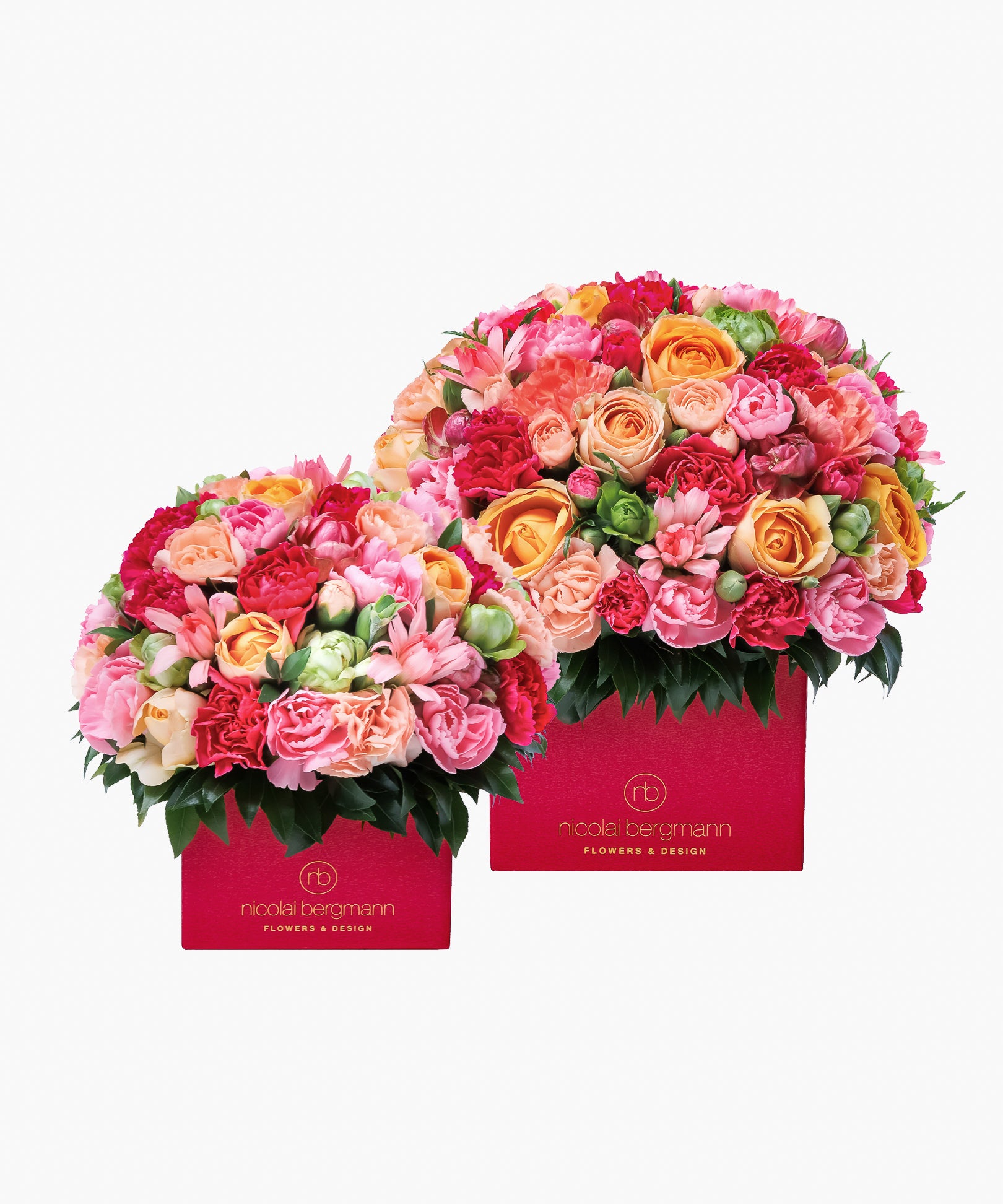 Cheerful Bloom（チアフル ブルーム）