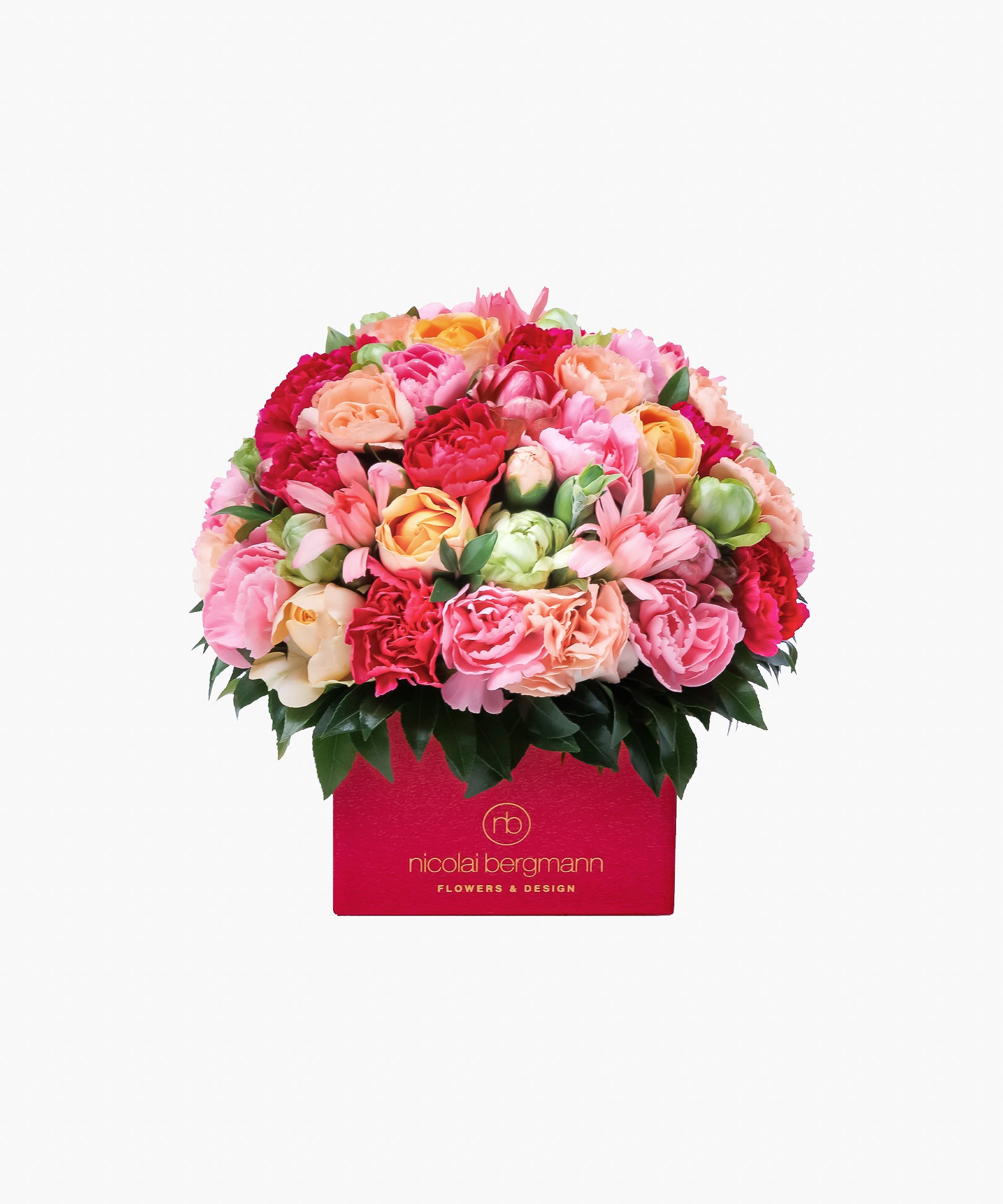 Cheerful Bloom（チアフル ブルーム）