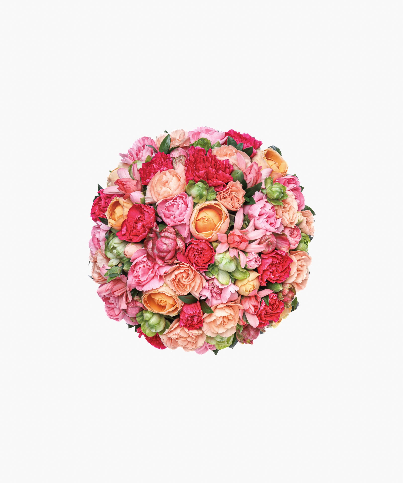 Cheerful Bloom（チアフル ブルーム）