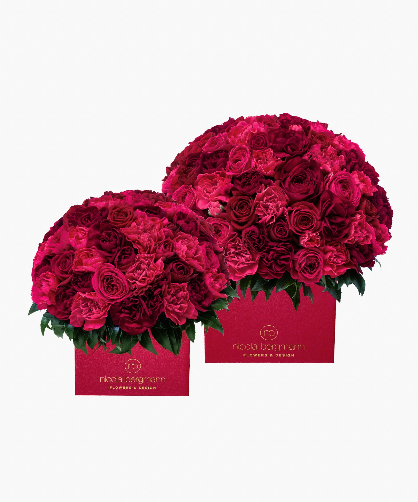 Delightful Memories（ディライトフル メモリーズ）