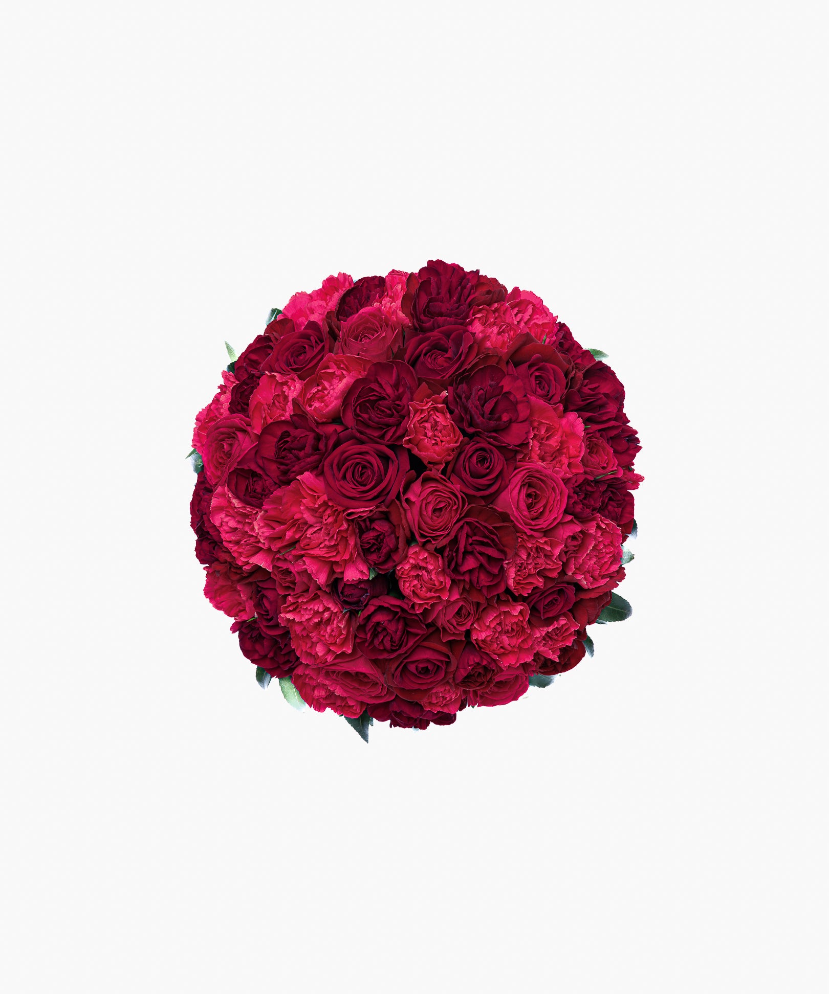 Delightful Memories（ディライトフル メモリーズ）