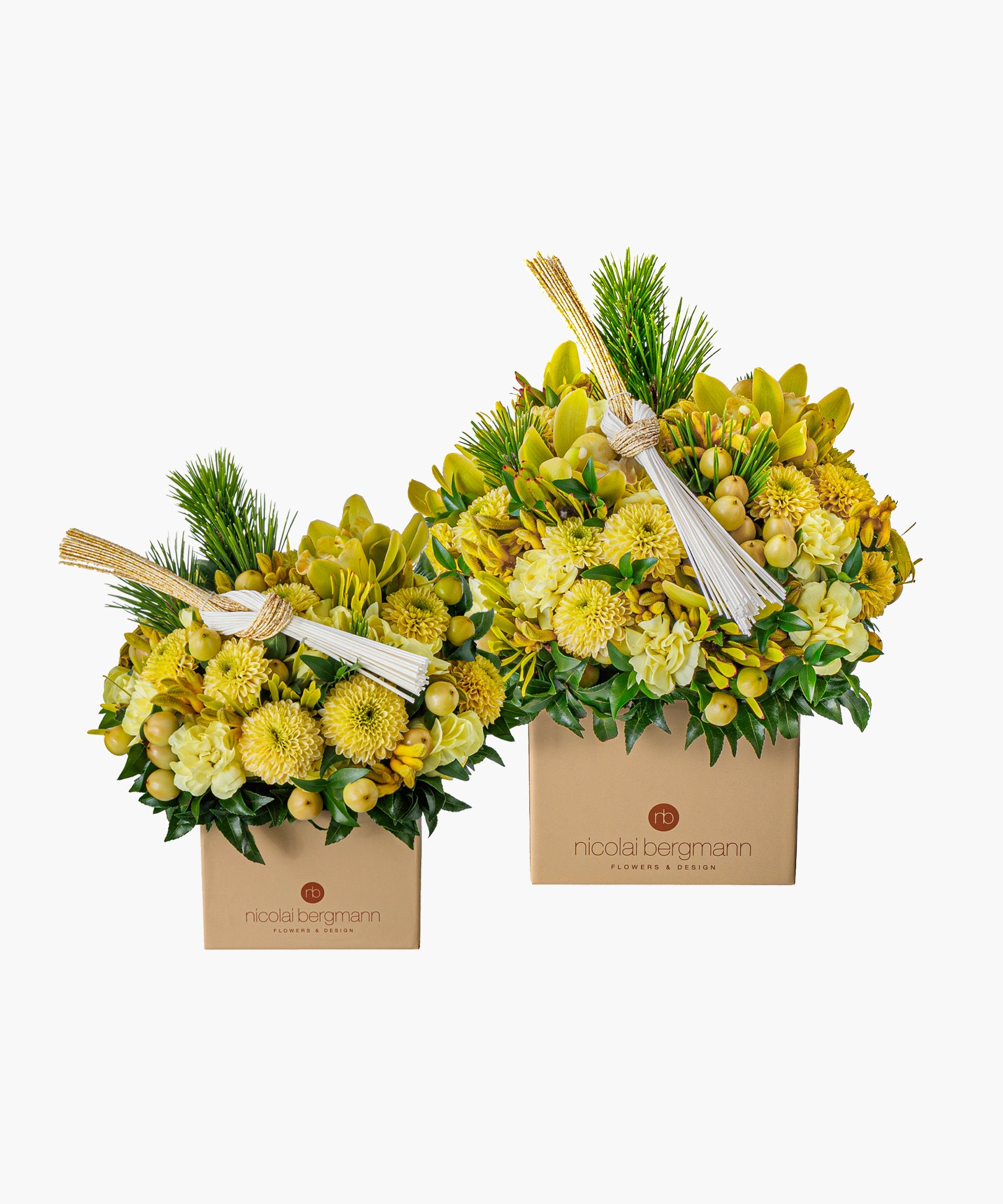 New Year Cube - Kogane（ニューイヤーキューブ - コガネ）