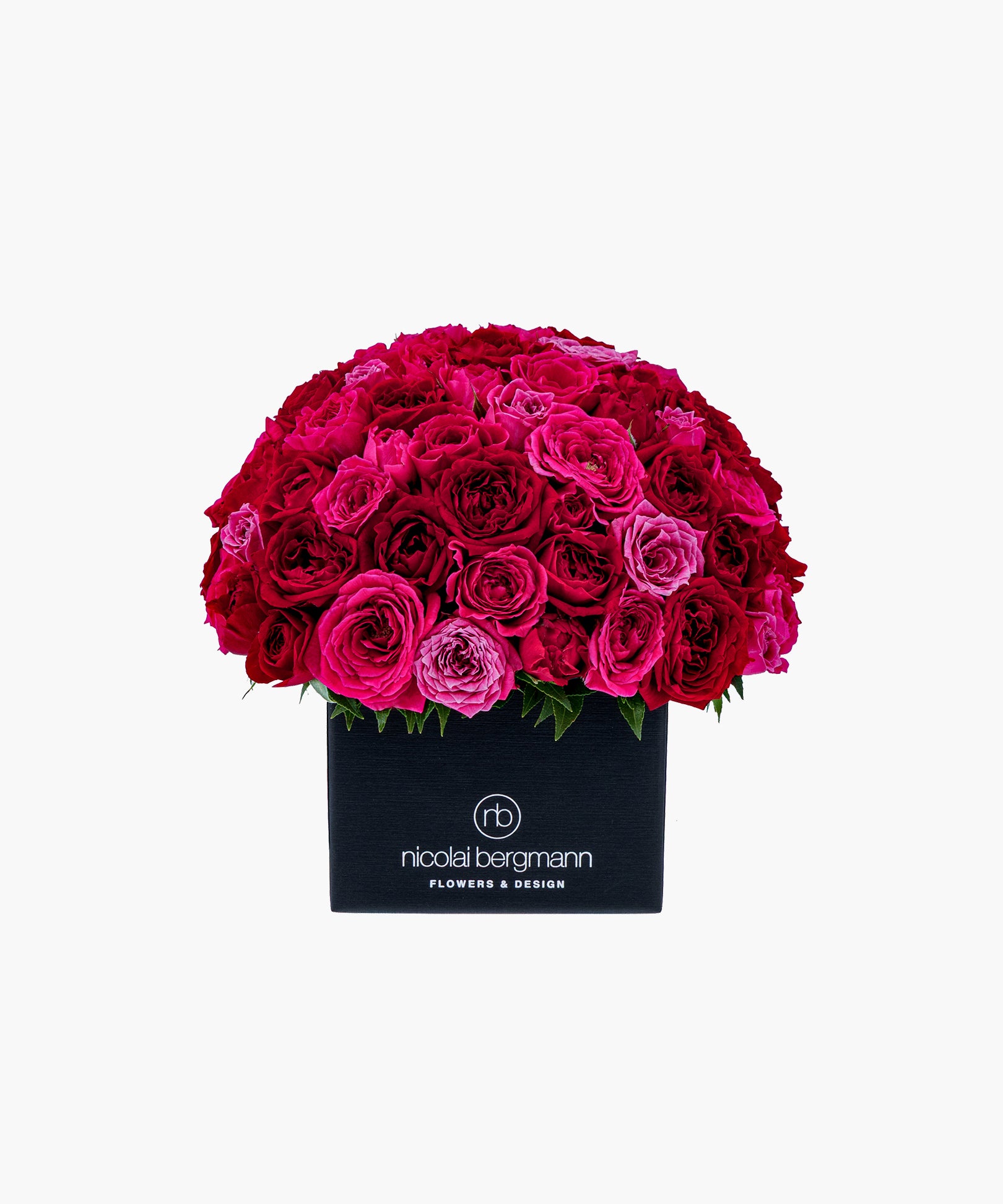 Crimson Roses