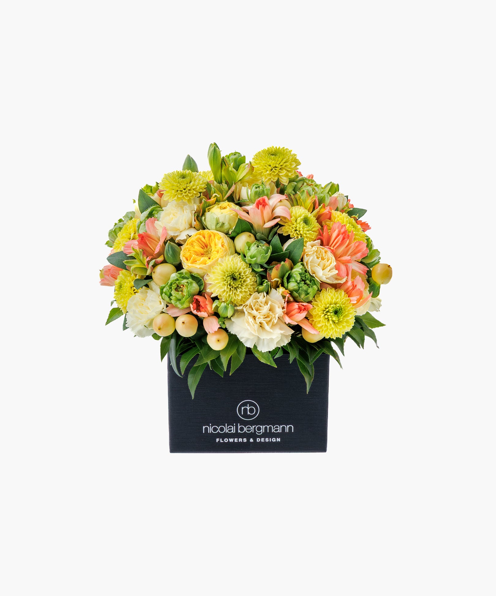 Soft Glow (ソフト グロウ)