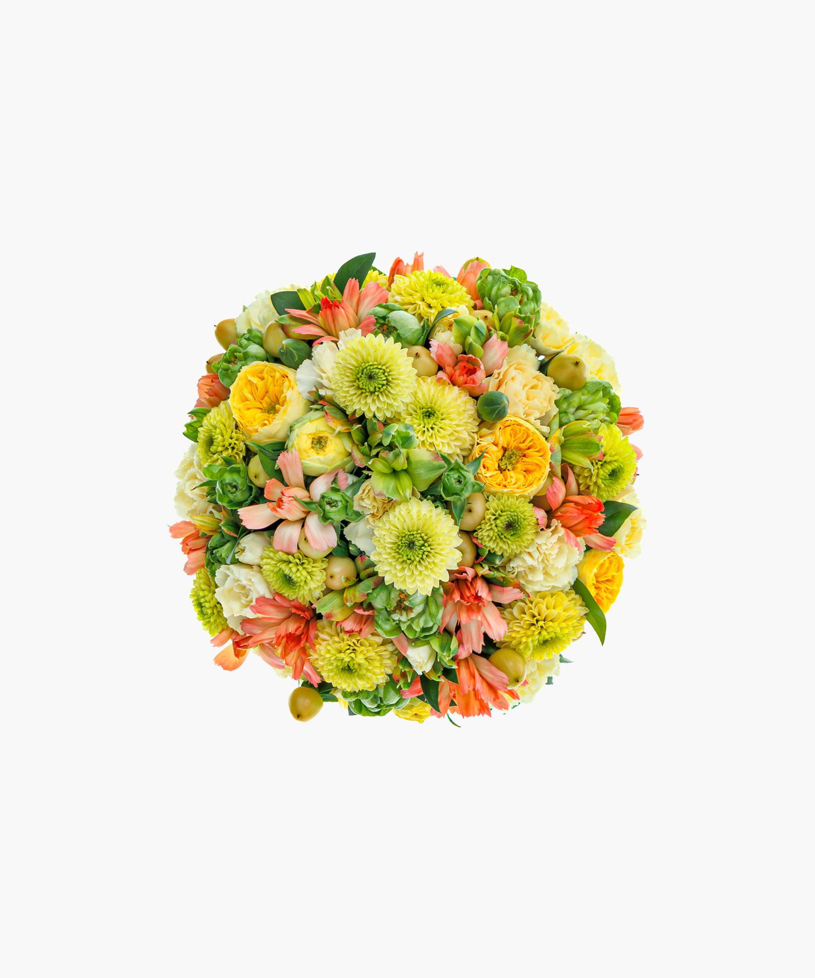 Soft Glow (ソフト グロウ)