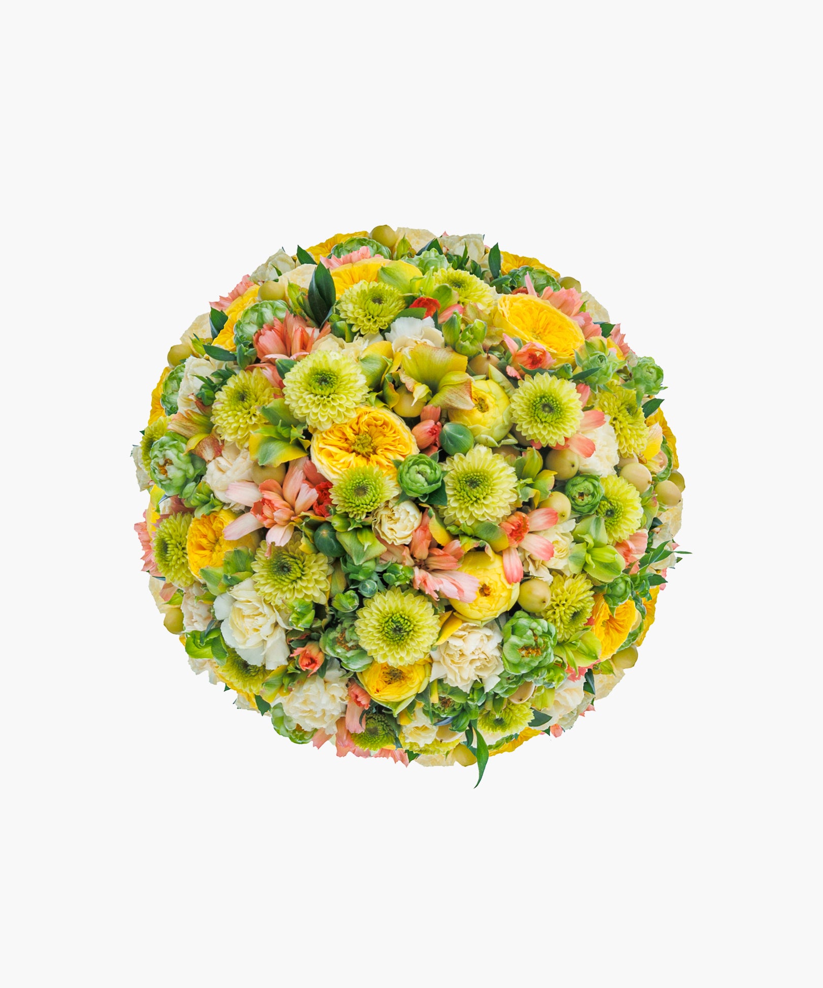 Soft Glow (ソフト グロウ)