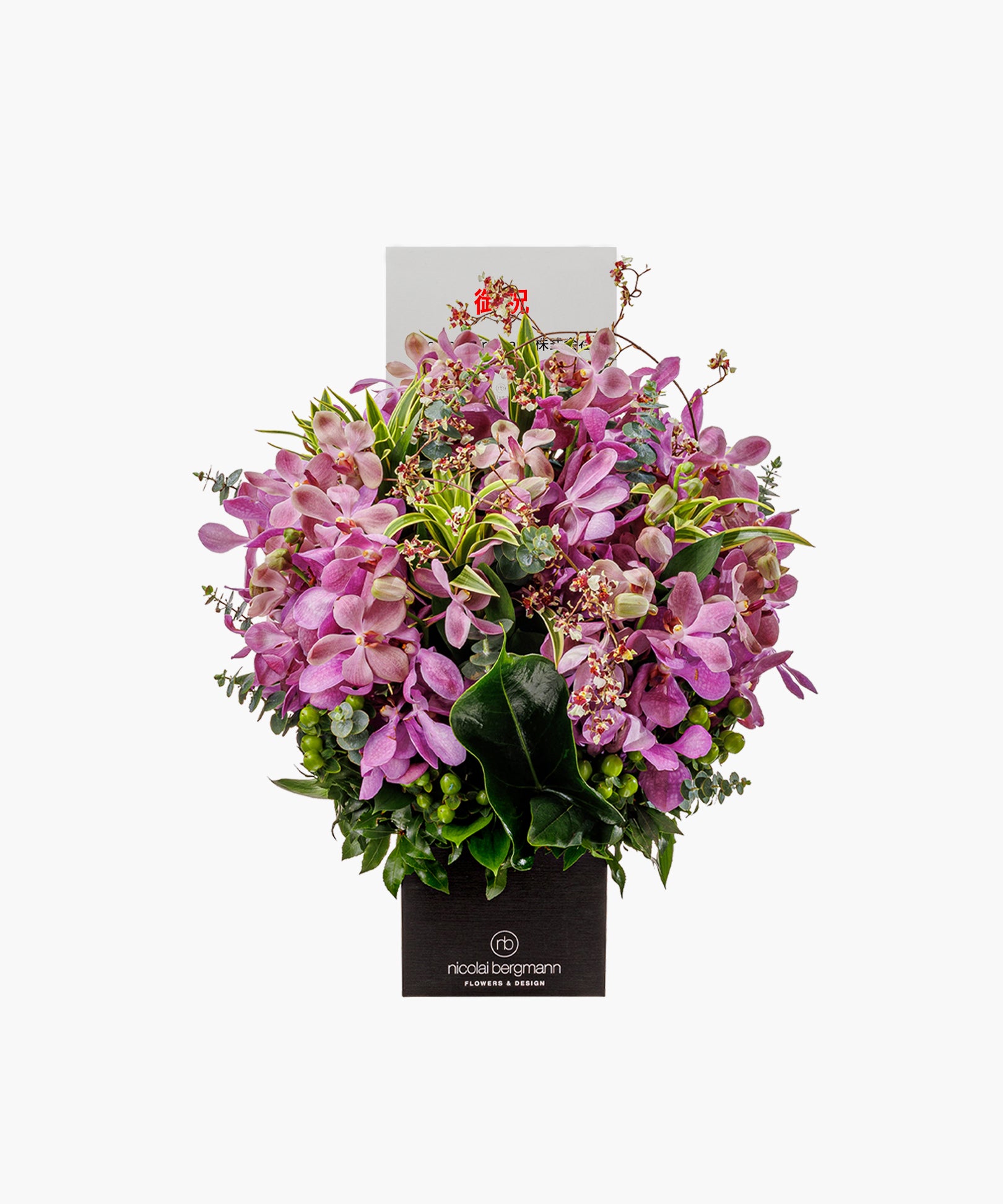 Chic Orchid