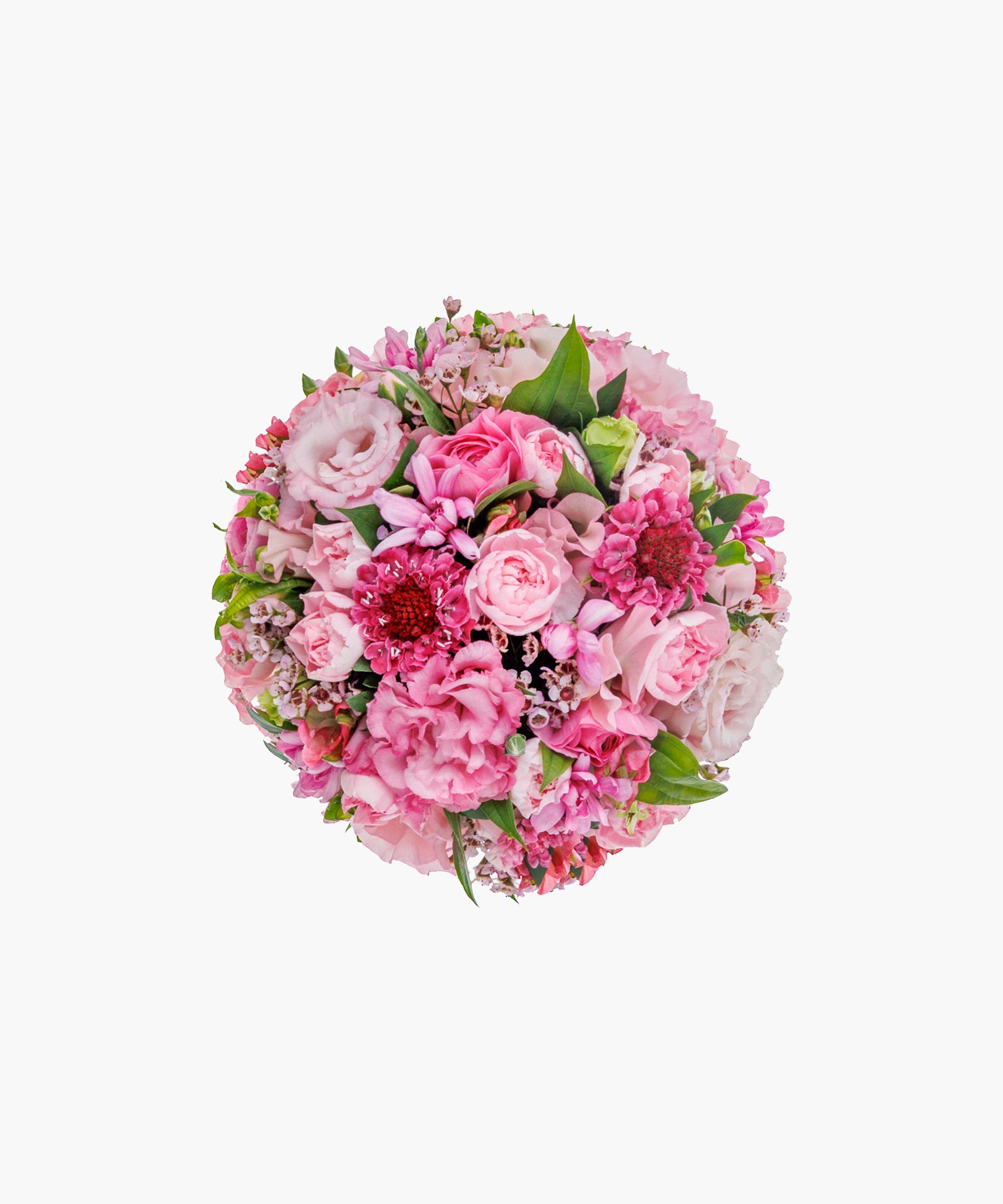 Tender Harmony (テンダー ハーモニー)