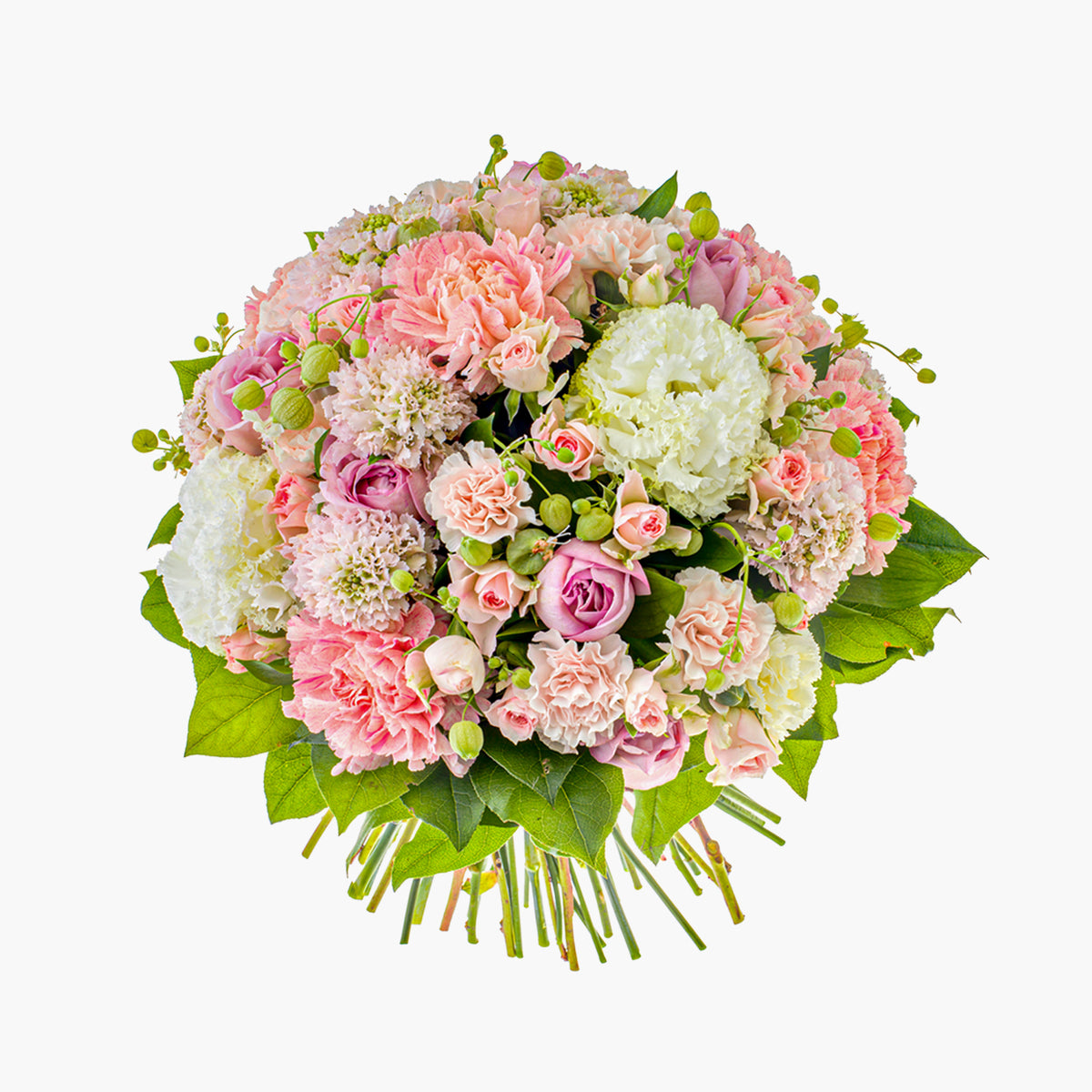 Beauty Verse（ビューティー ヴァース）