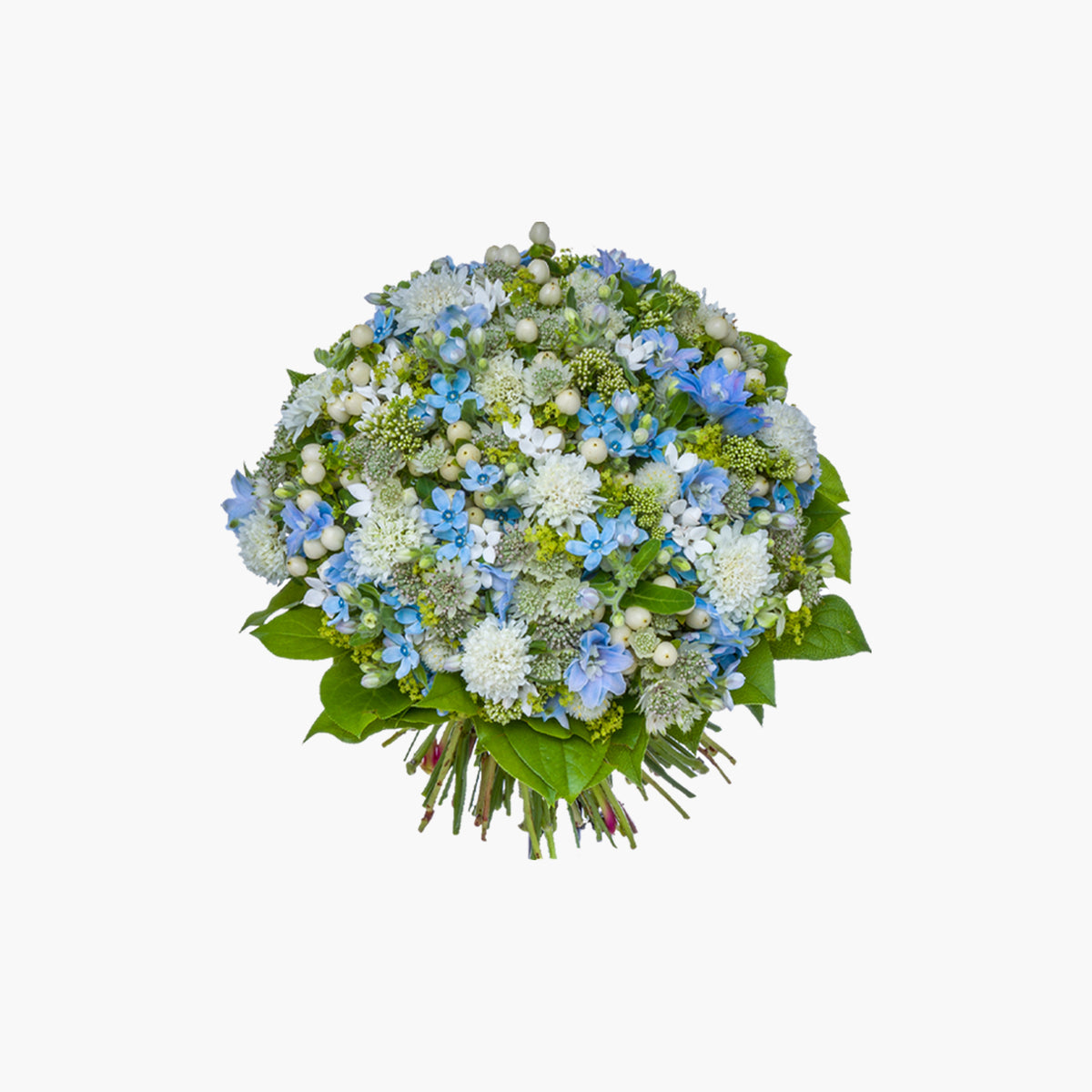 206276032_01_1200x1200_crop_ce