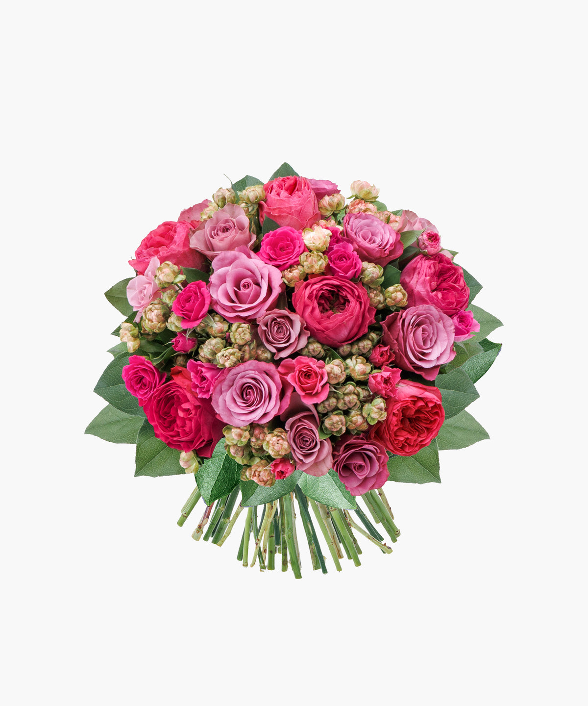 Grace Roses