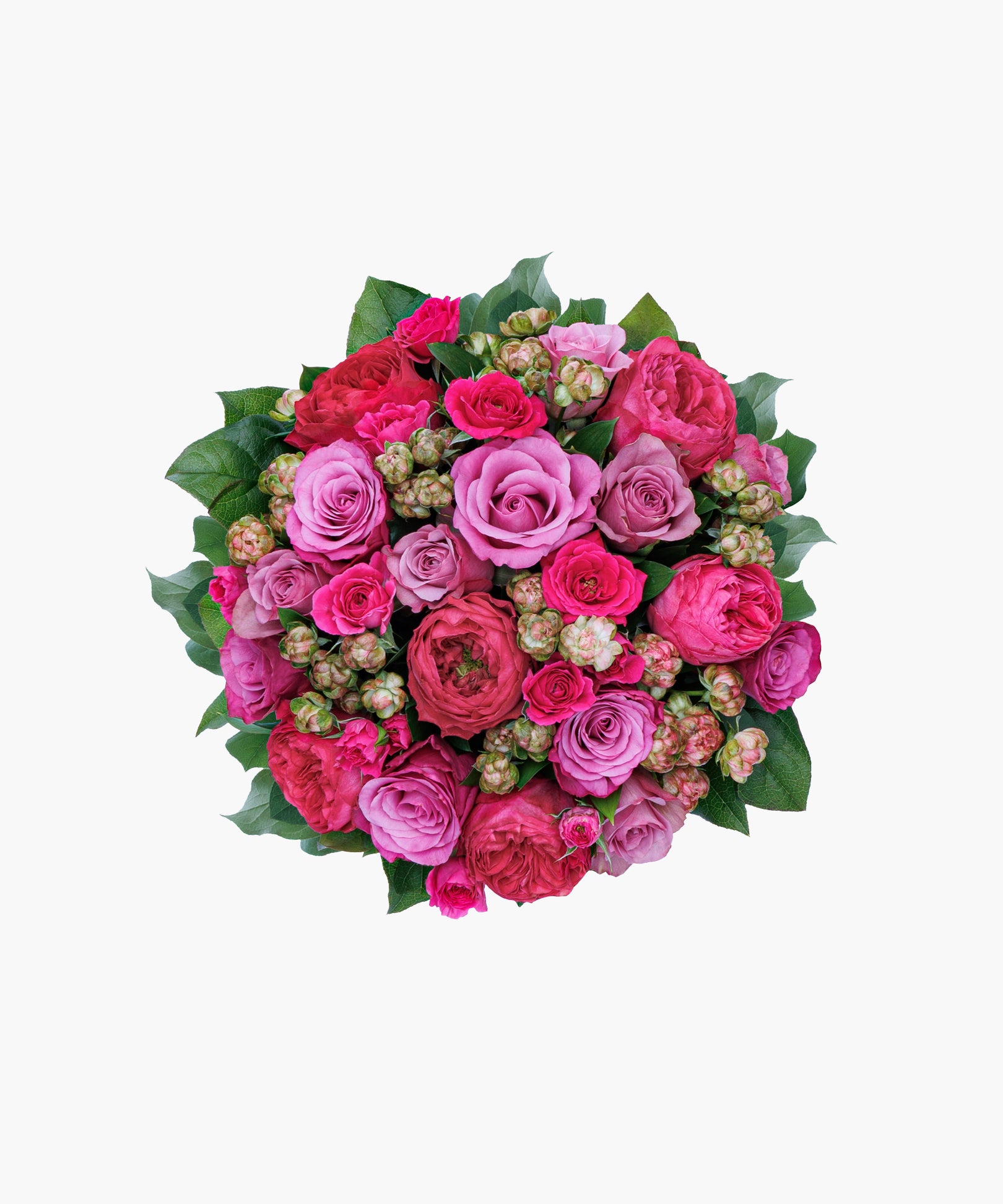 Grace Roses