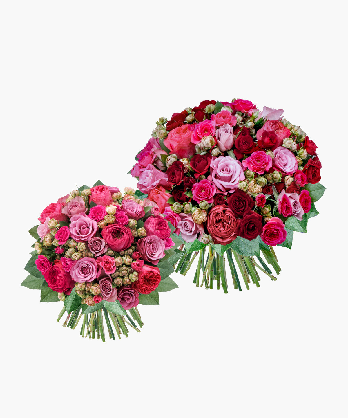 Grace Roses