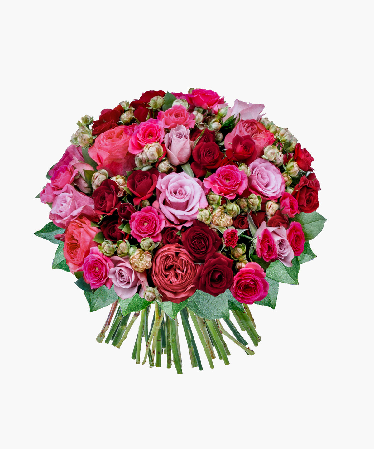 Grace Roses