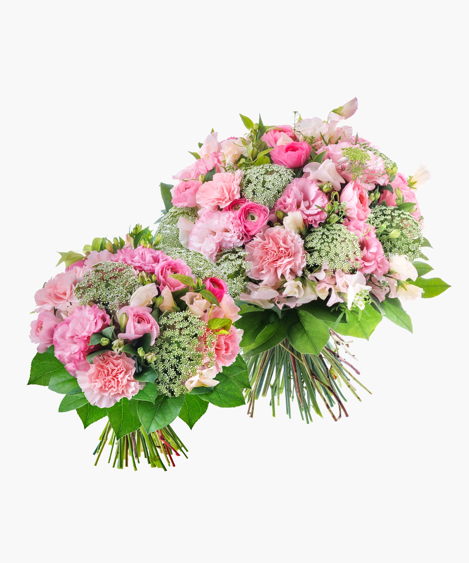 Spring Air (スプリング エア)