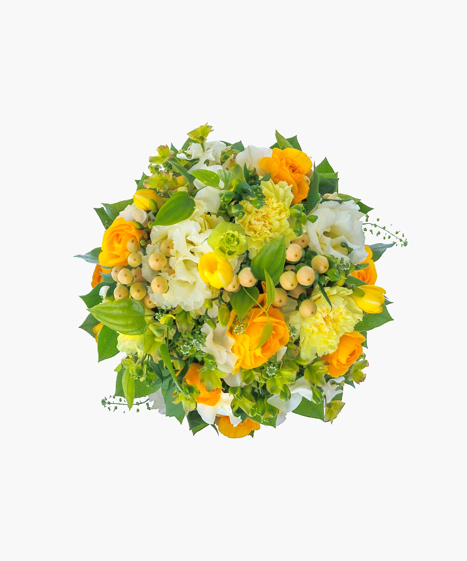 Morning Light (モーニング ライト)