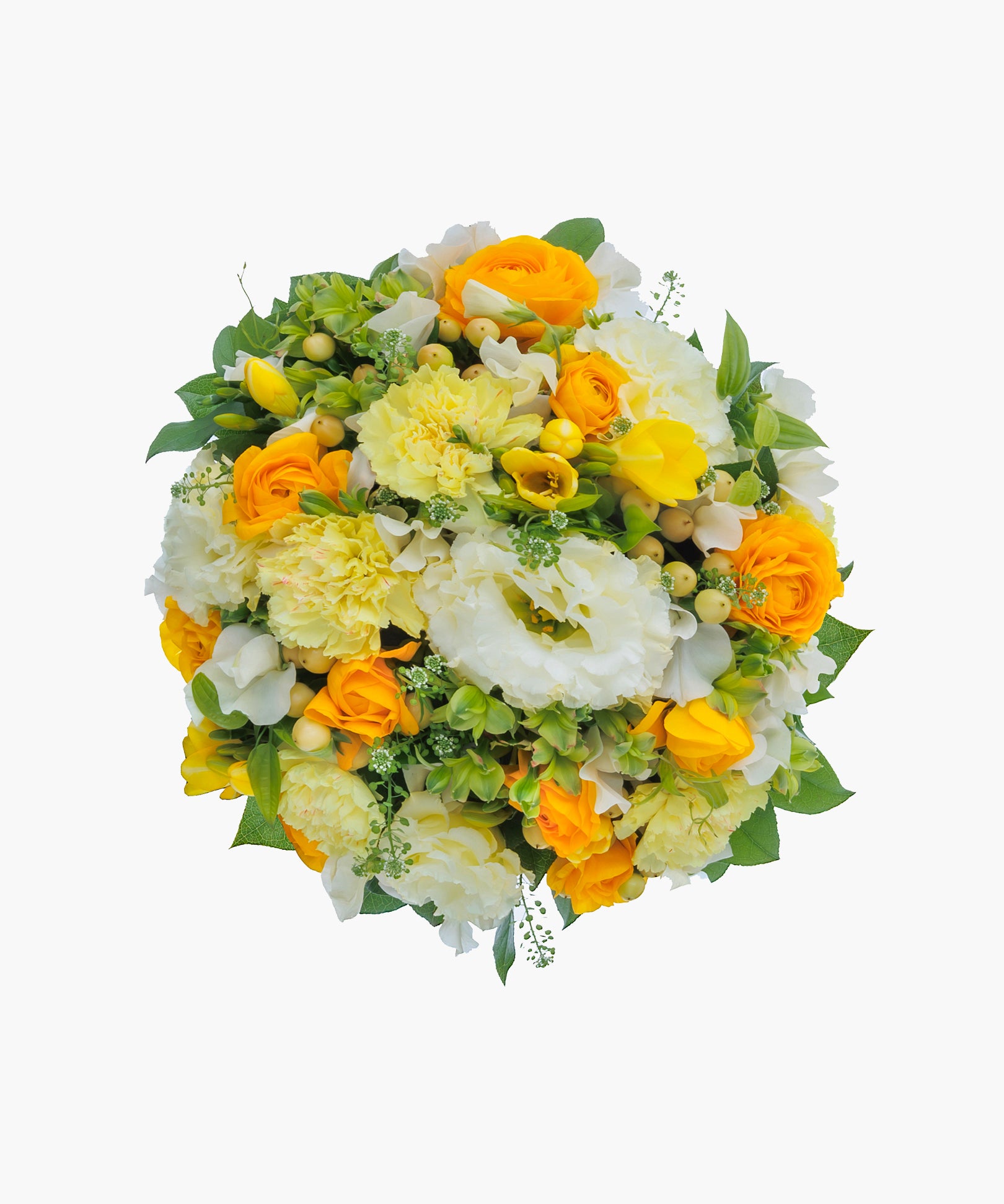 Morning Light (モーニング ライト)