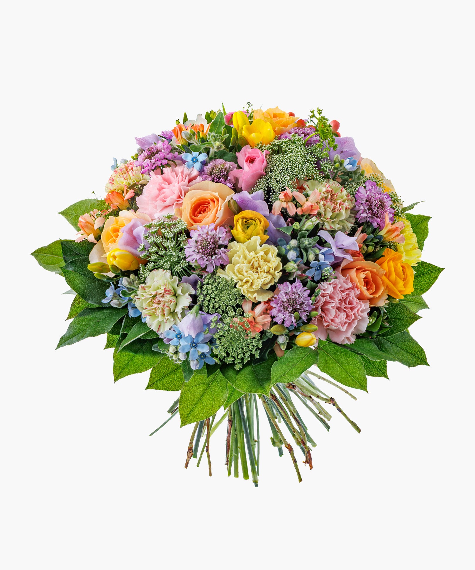 Pastel Medley (パステル メドレー)