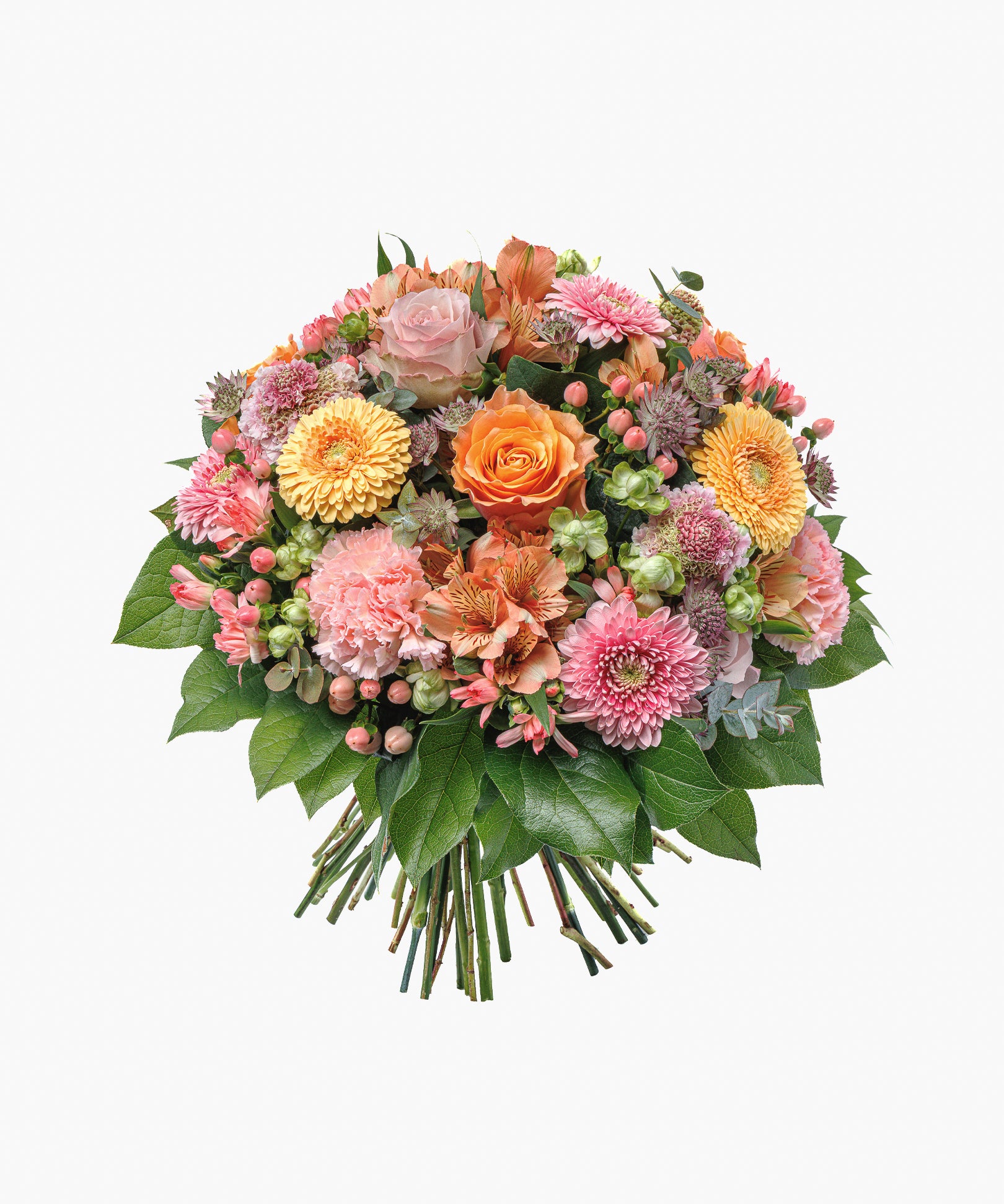 Grateful Reverie（グレイトフル レヴェリー）