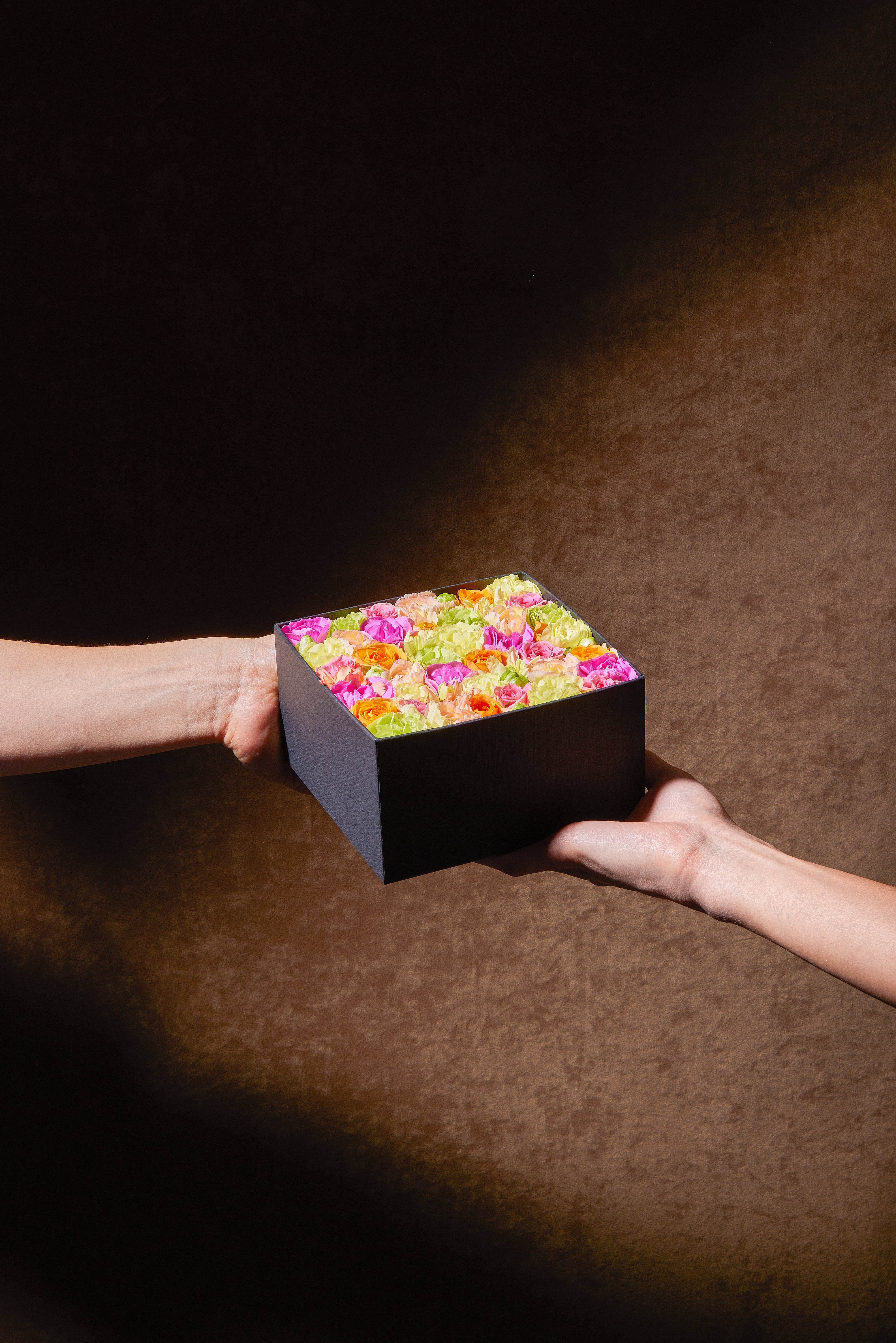 Nicolai Bergmann Online Shop｜ニコライ バーグマン オンラインショップ