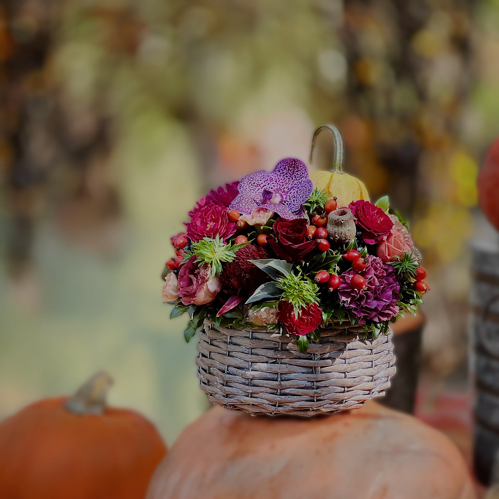 Pumpkin Patch Pop