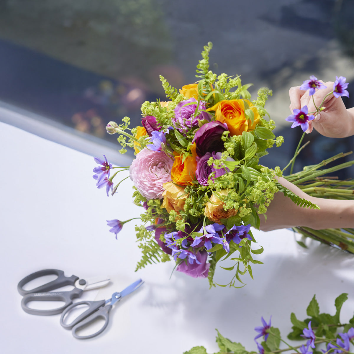 ラナンキュラス ラナンキュラス展2024 ラックス29品種 - YouTube