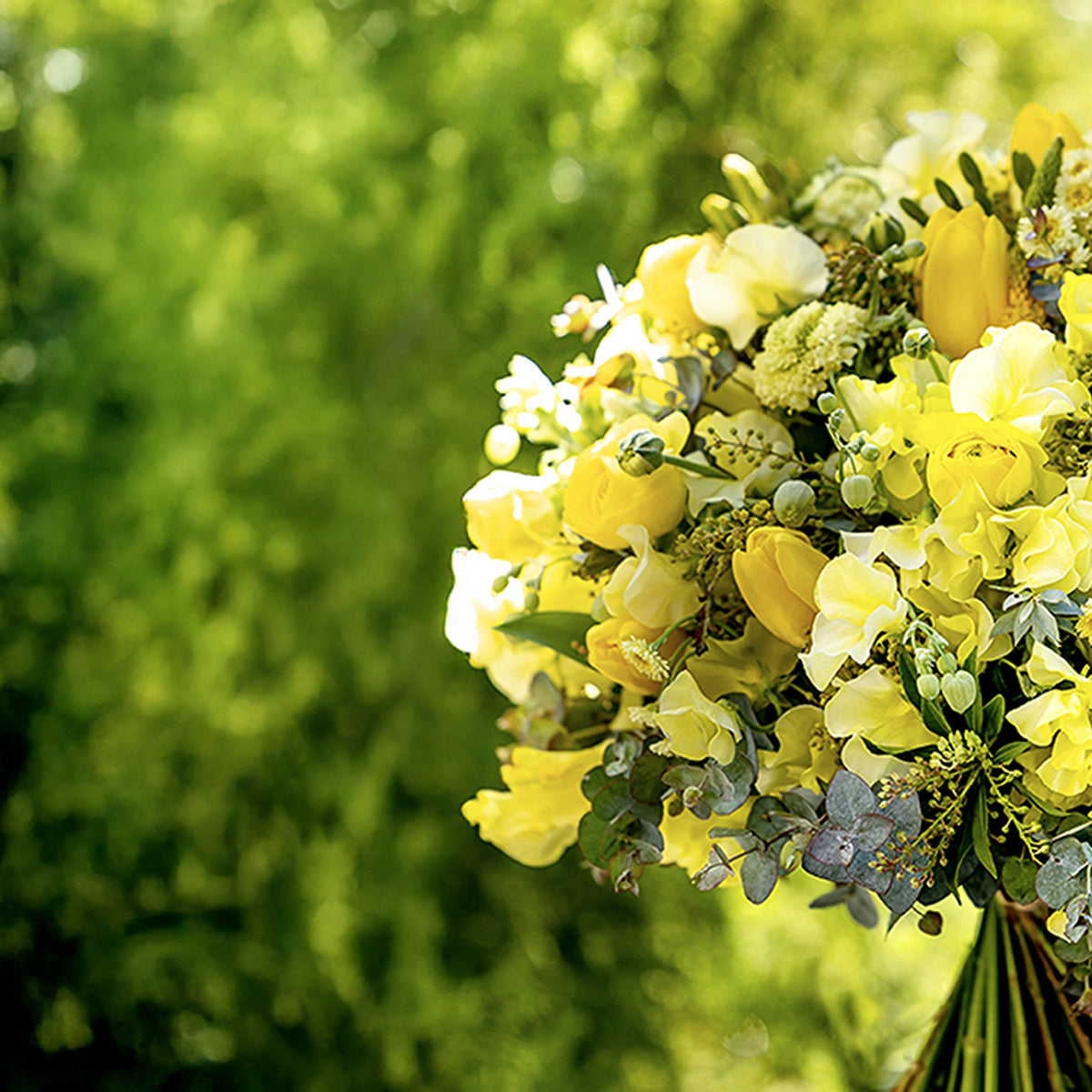 ミモザ サンシャイン ブーケ