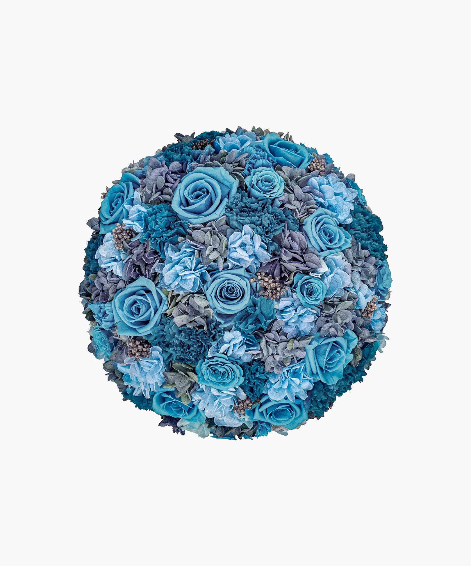 Sky Bloom